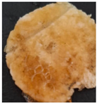 Preprints 171007 i081