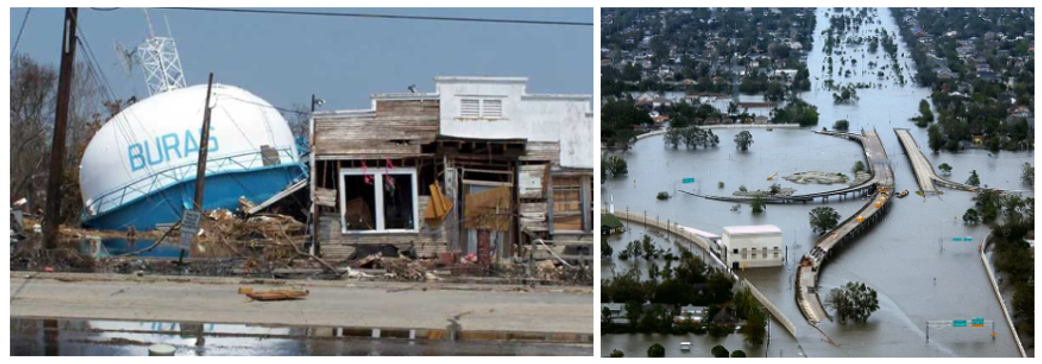 Preprints 151468 g005