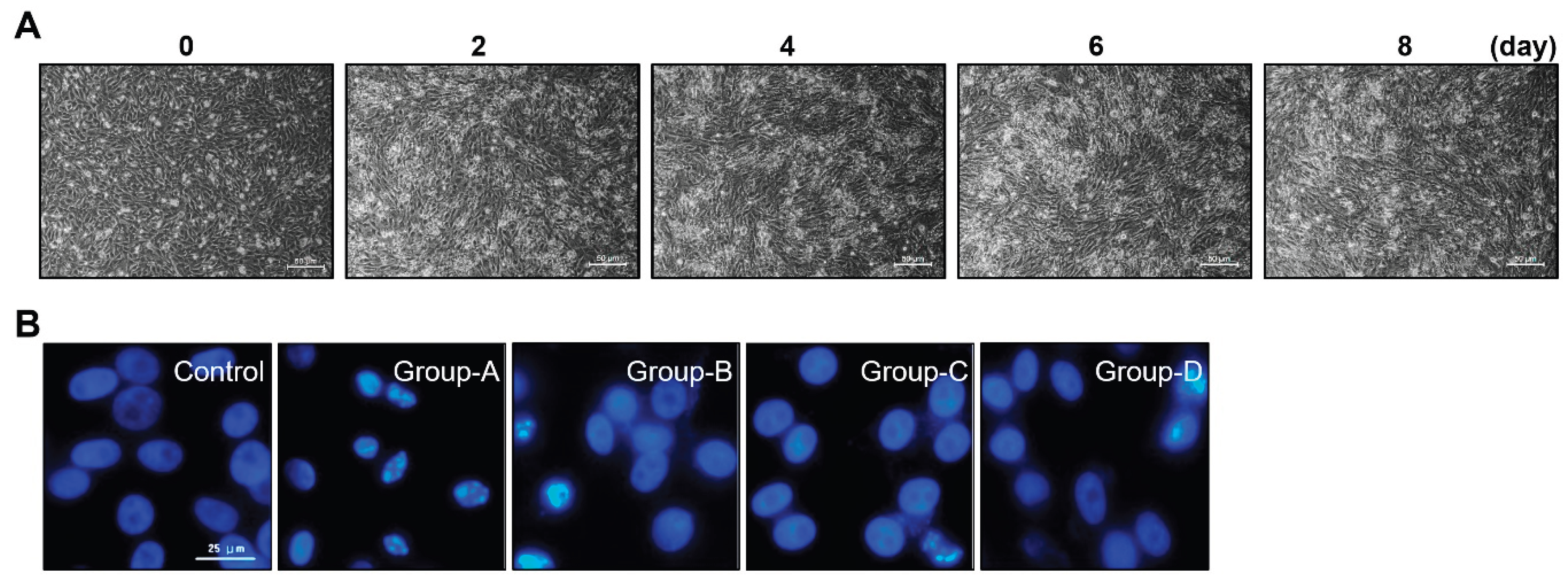 Preprints 175641 g001
