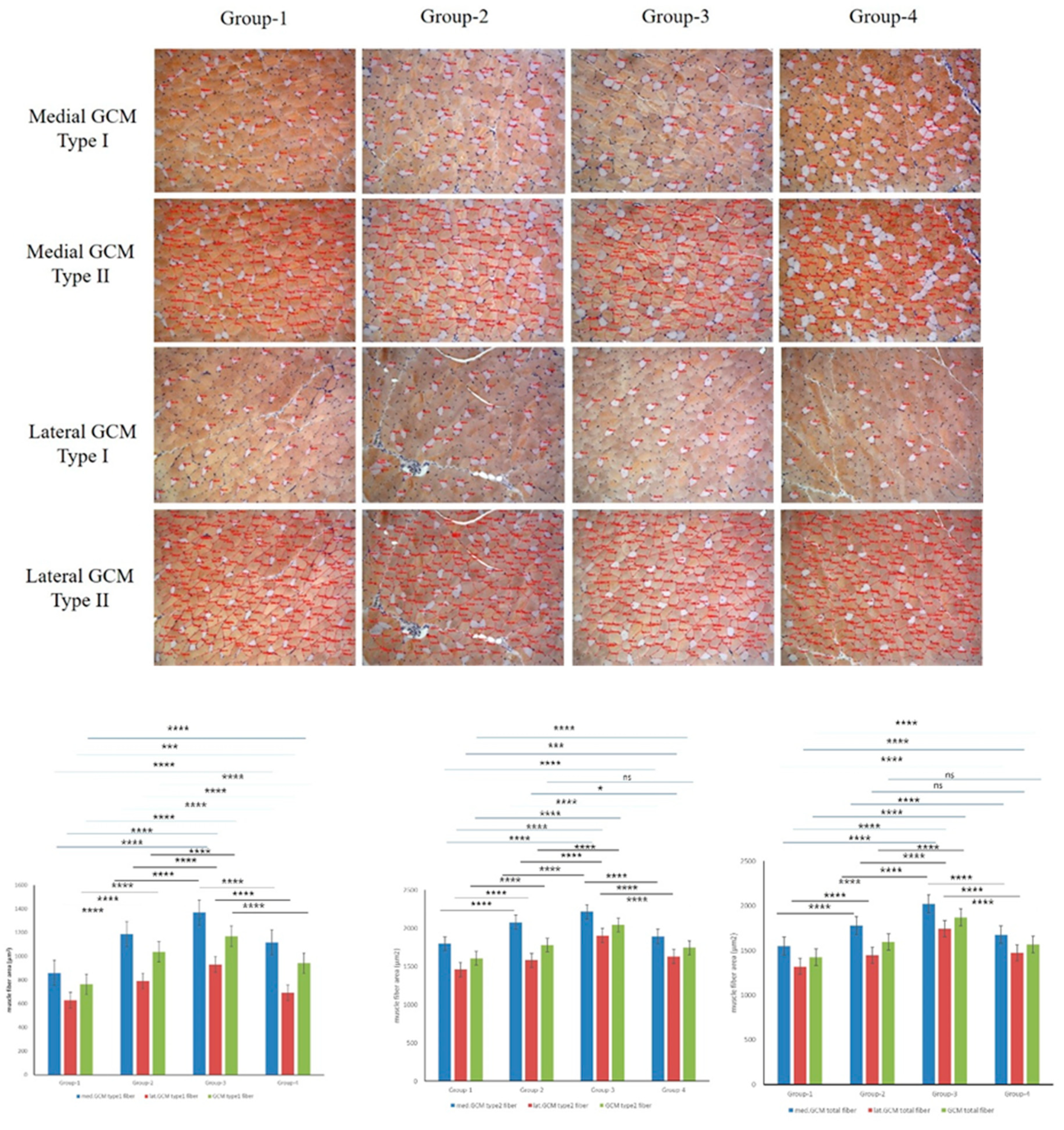 Preprints 175641 g004