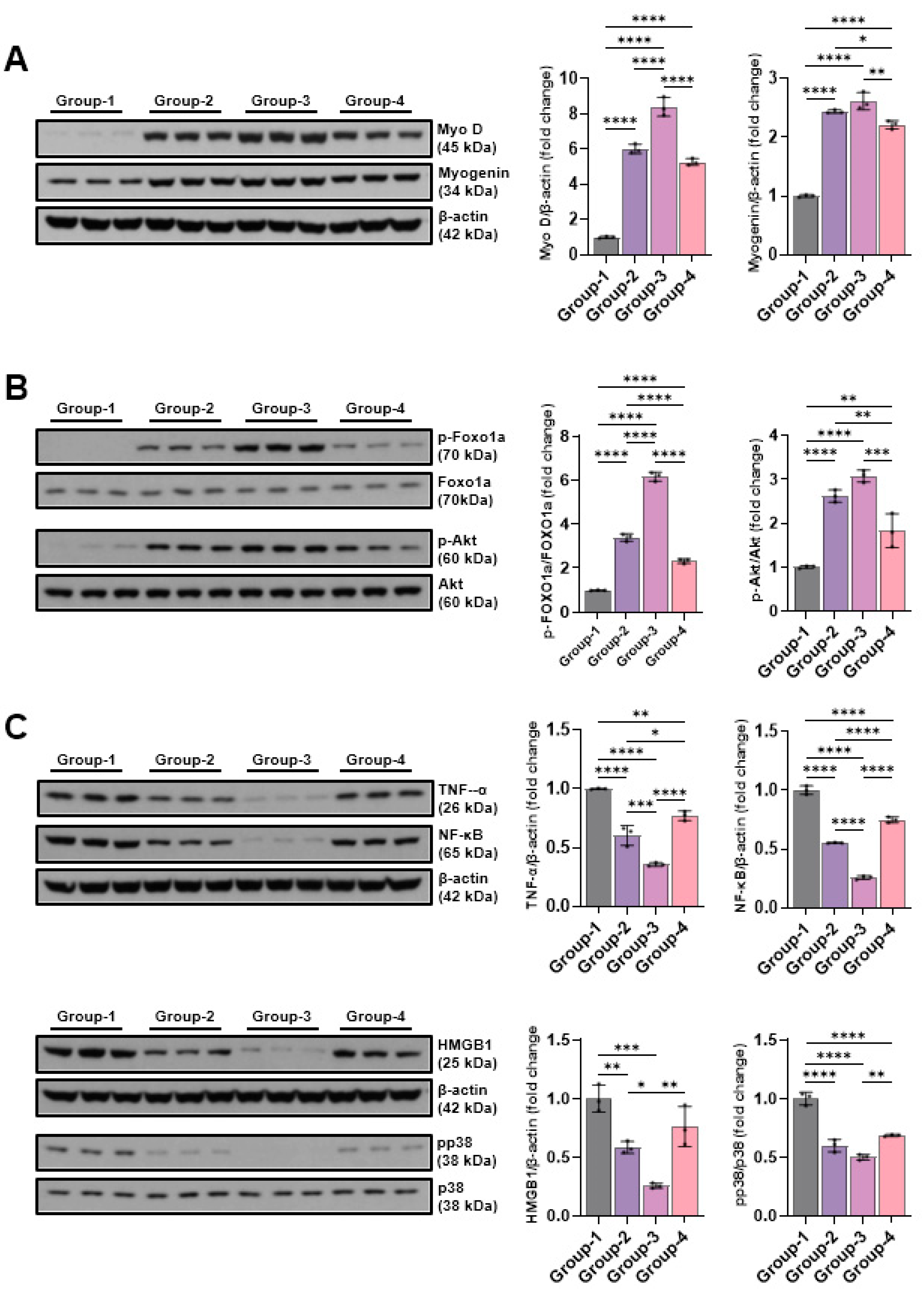 Preprints 175641 g007