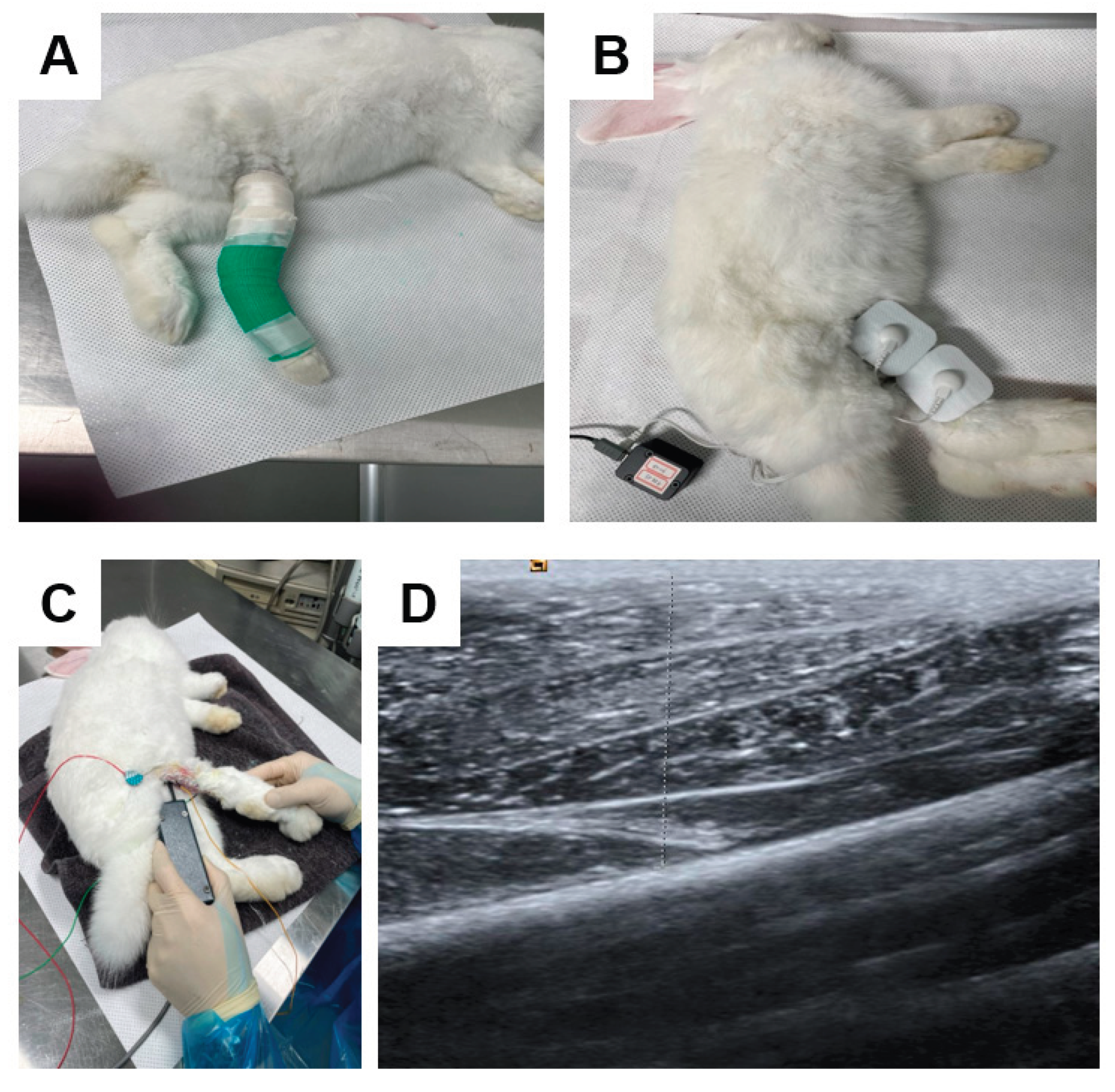 Preprints 175641 g010