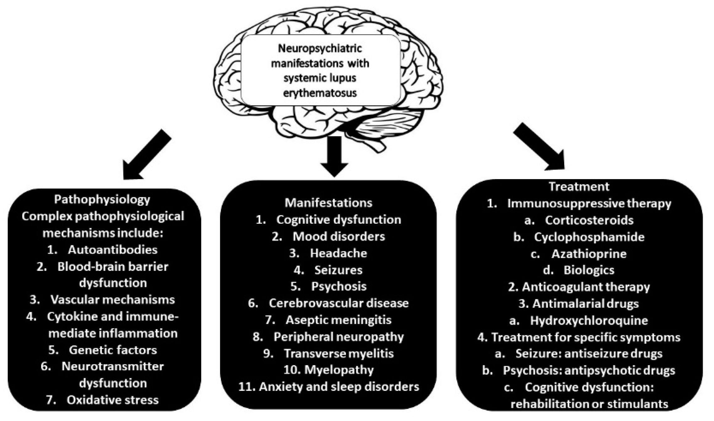 Preprints 146986 g002