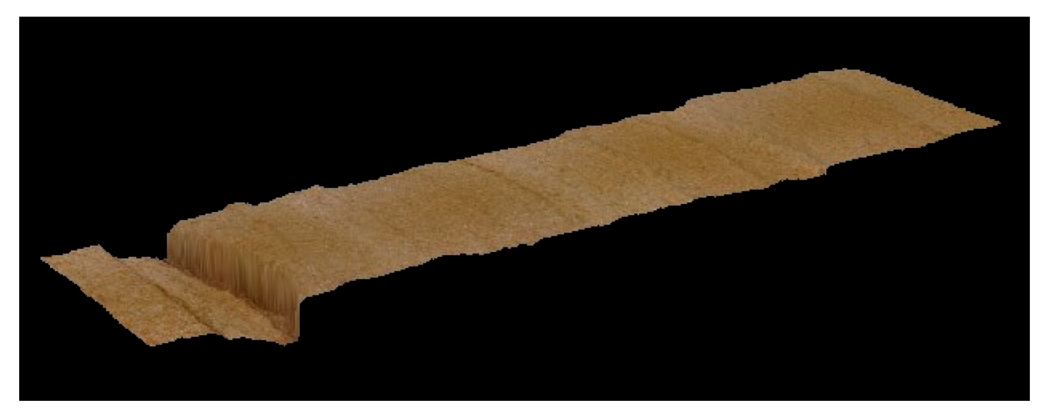 Preprints 170758 g006