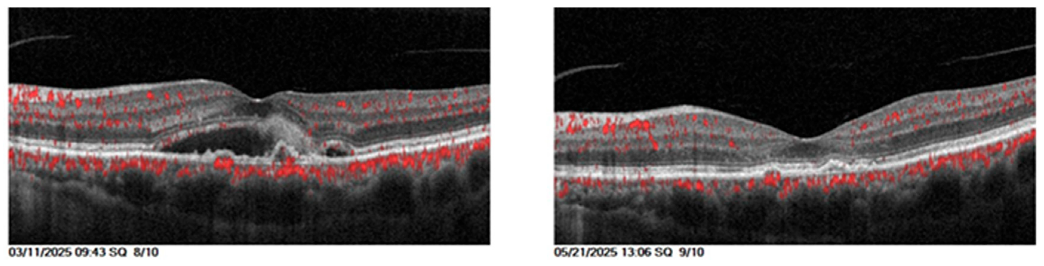 Preprints 196646 g009