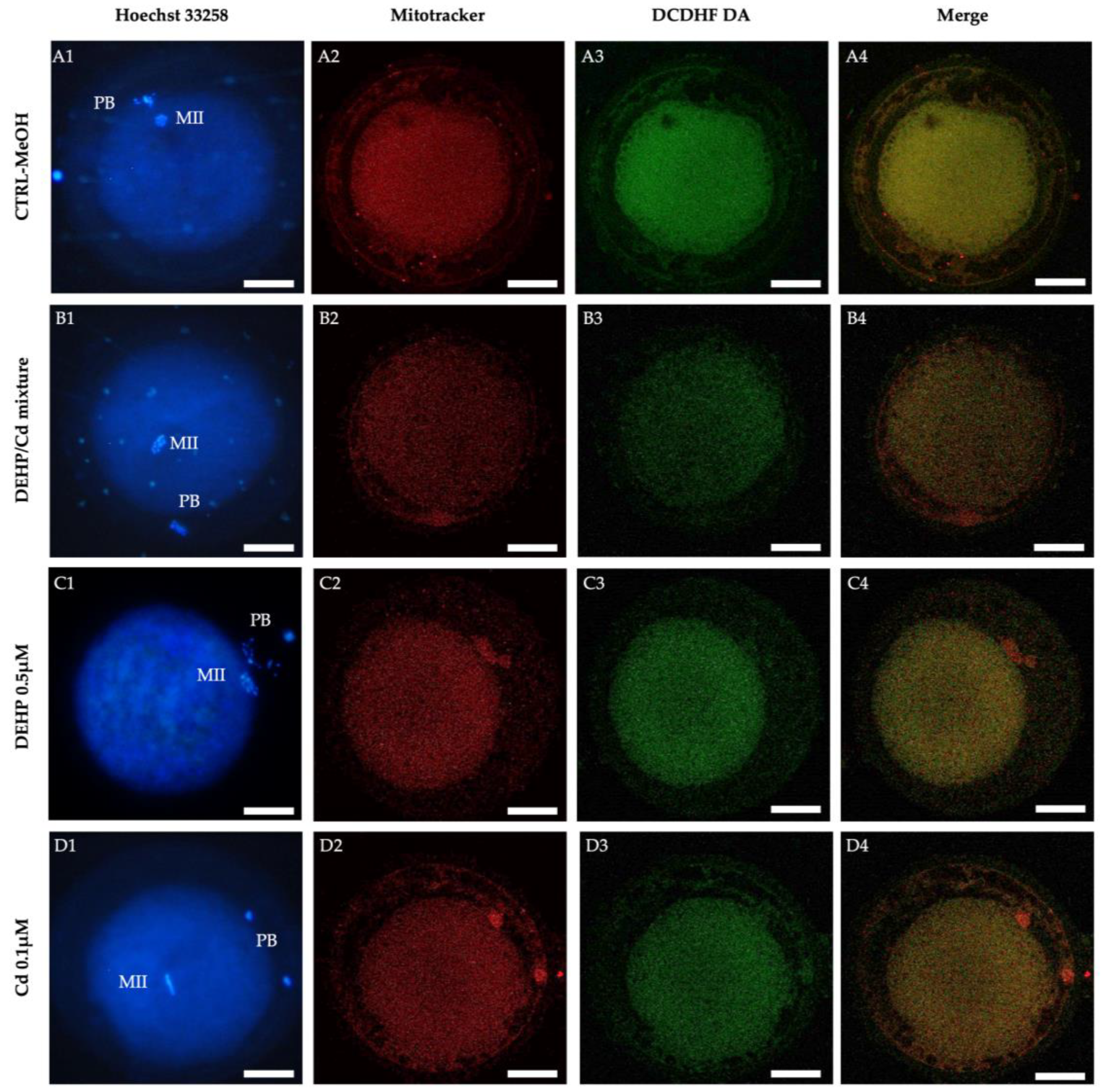 Preprints 140733 g003