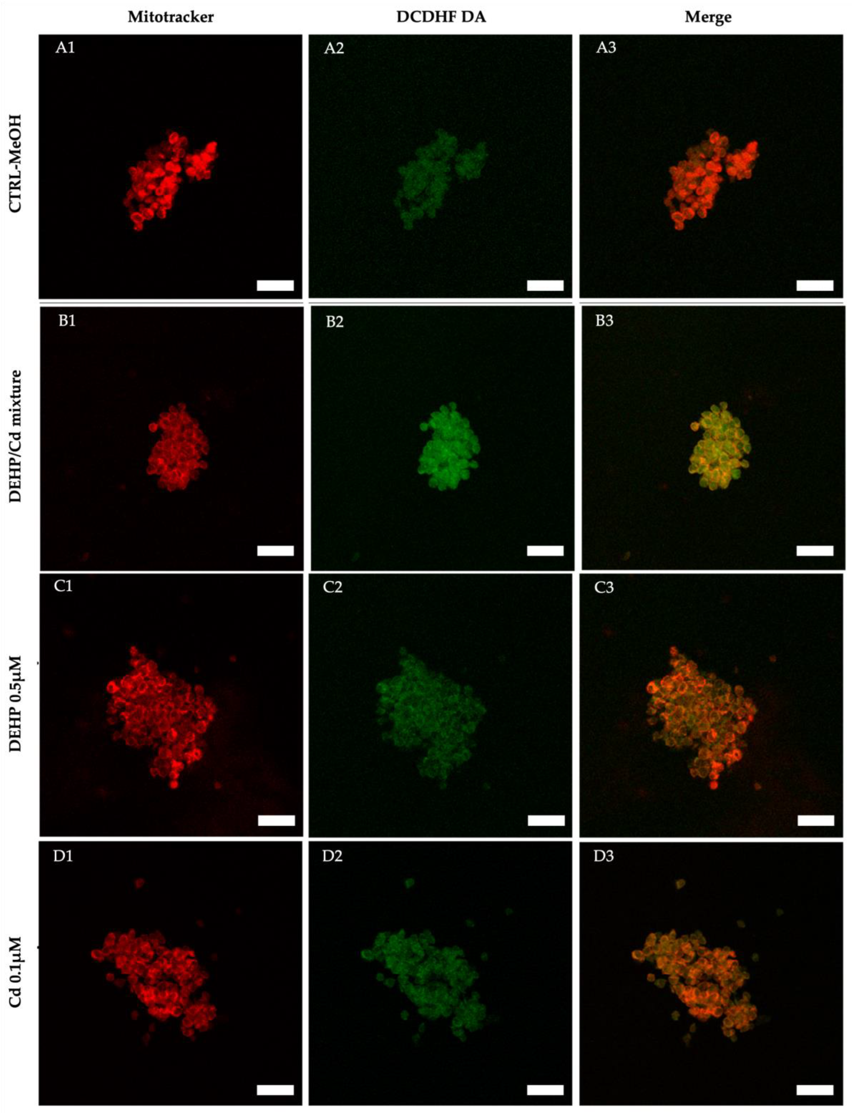 Preprints 140733 g005