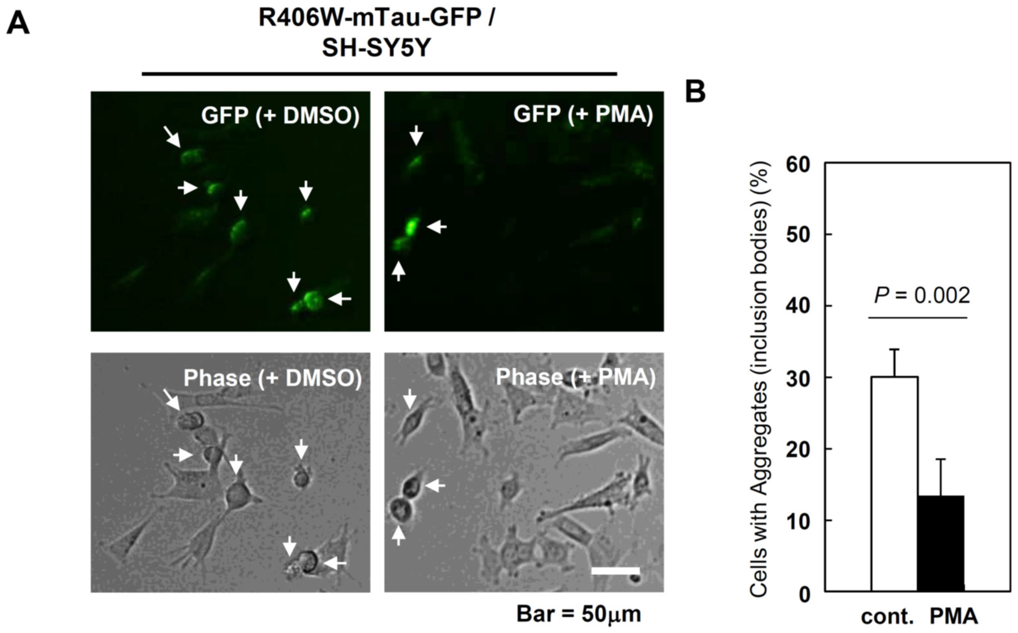 Preprints 82079 g003