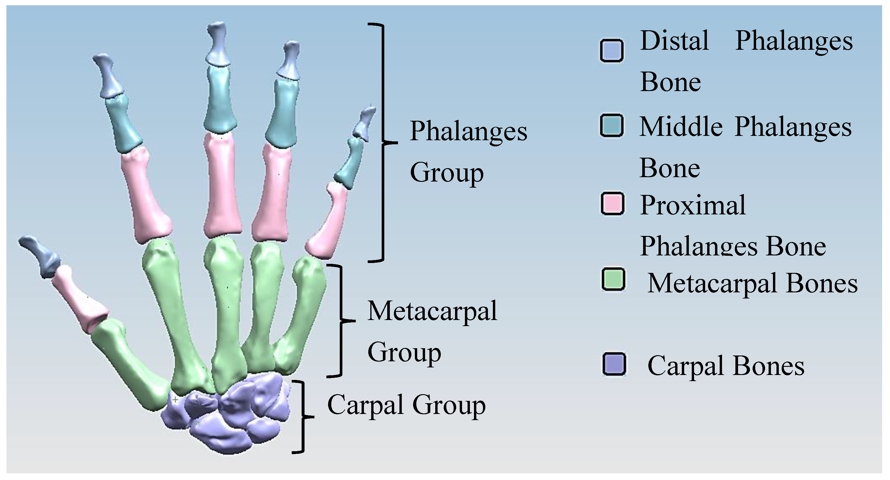 Preprints 143520 g002
