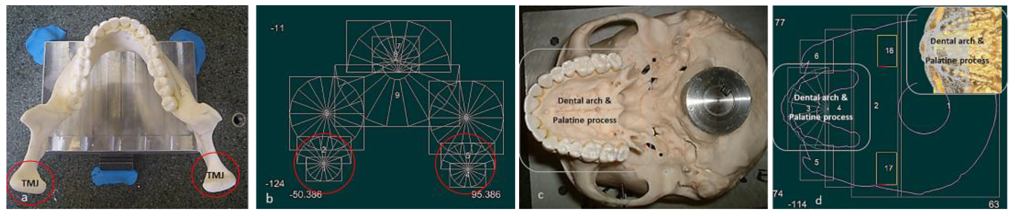 Preprints 143520 g005