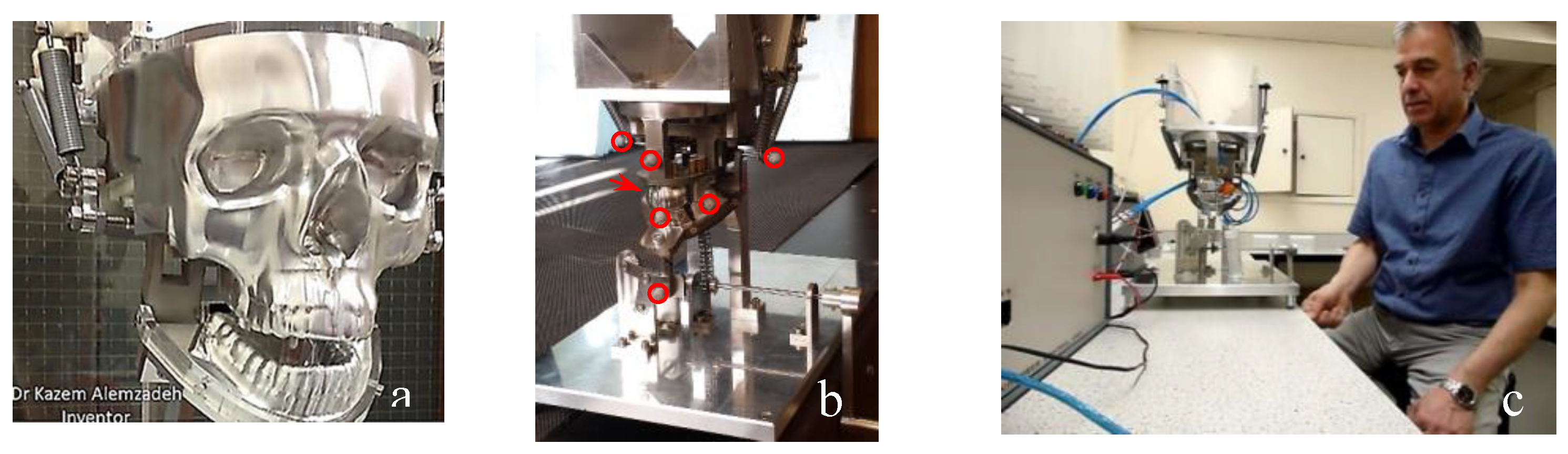 Preprints 143520 g012