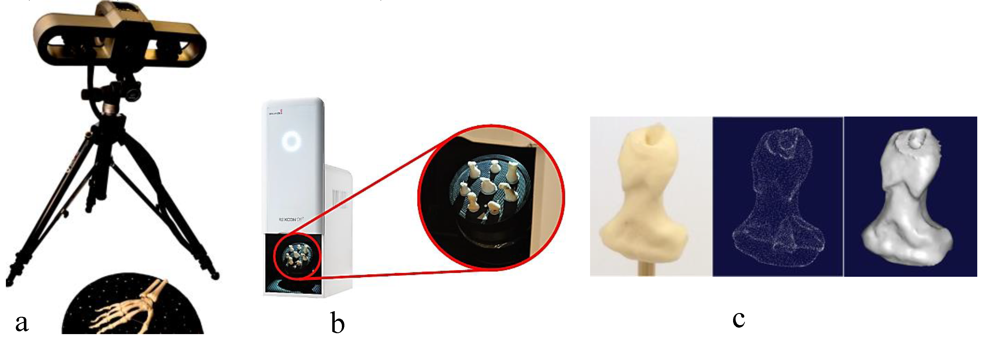 Preprints 143520 g013