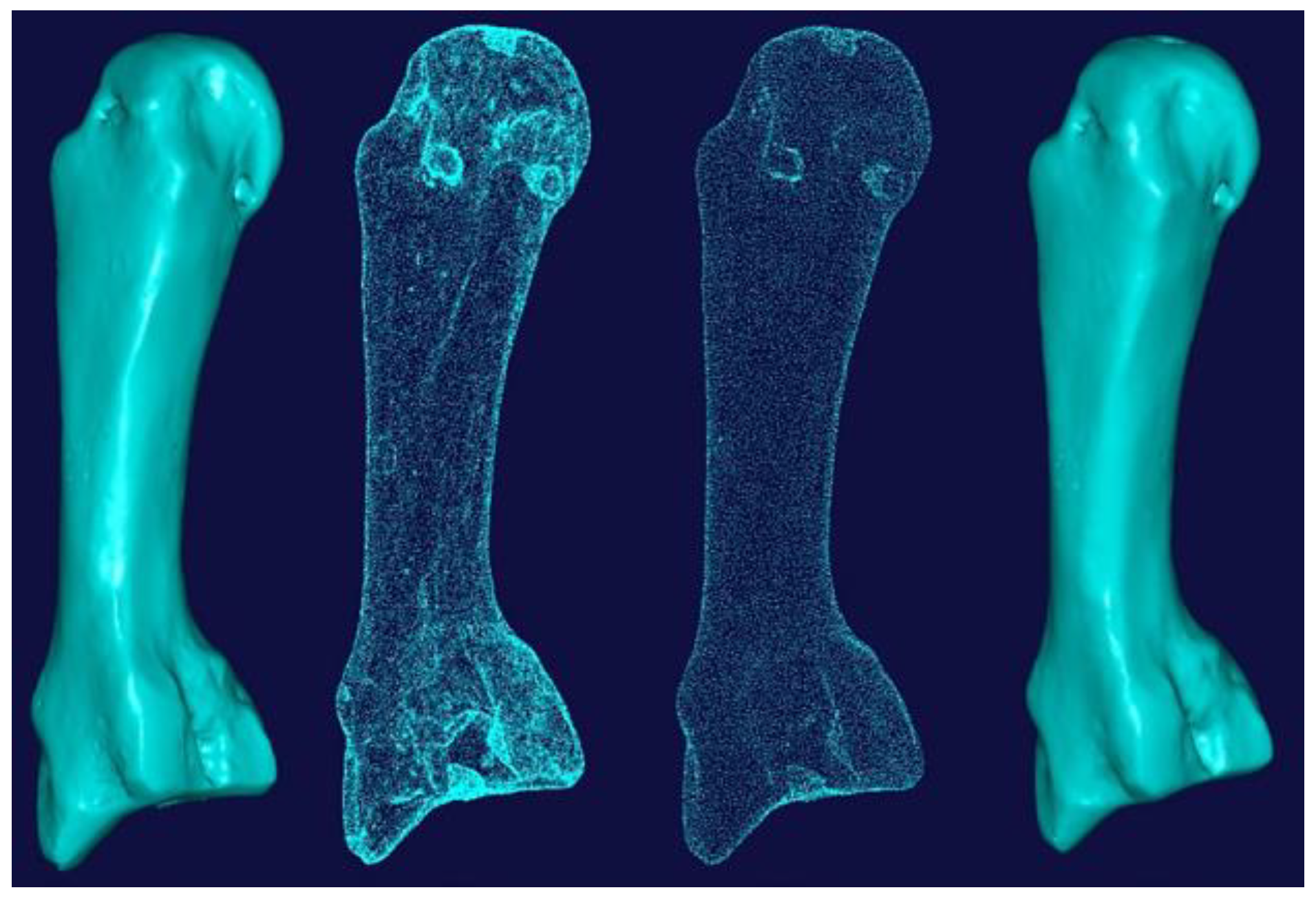 Preprints 143520 g015