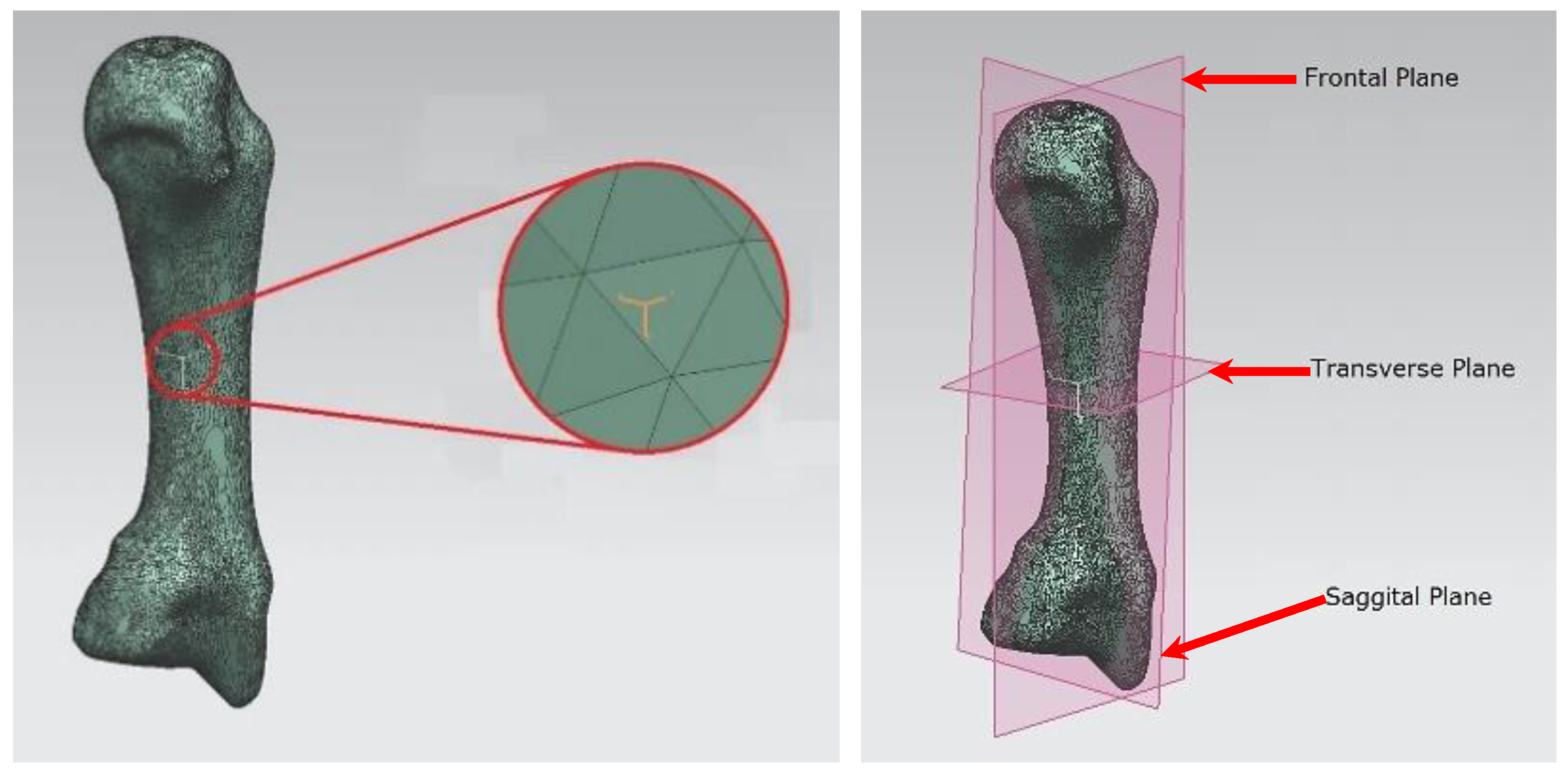 Preprints 143520 g016
