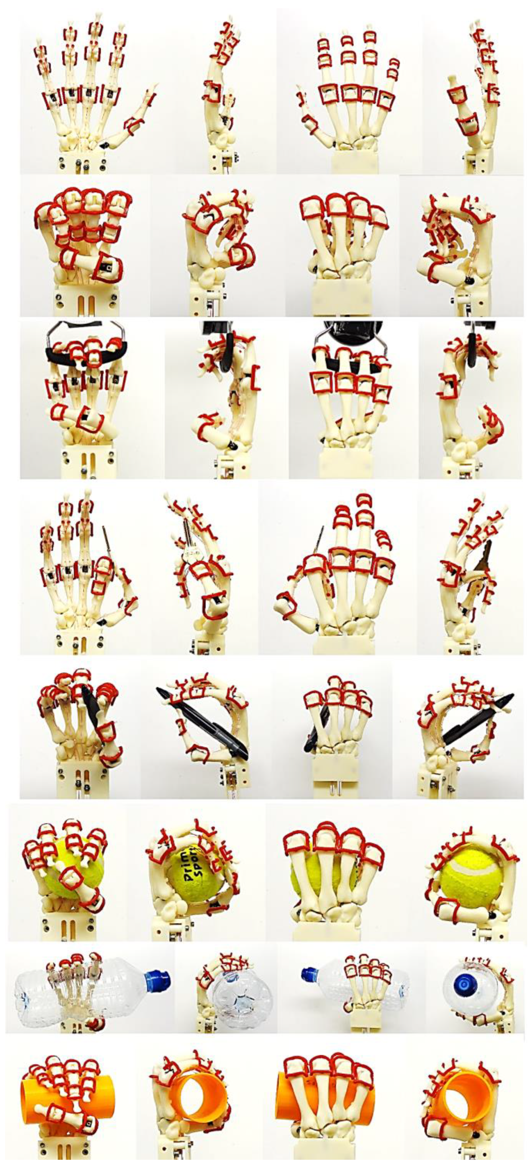 Preprints 143520 g032