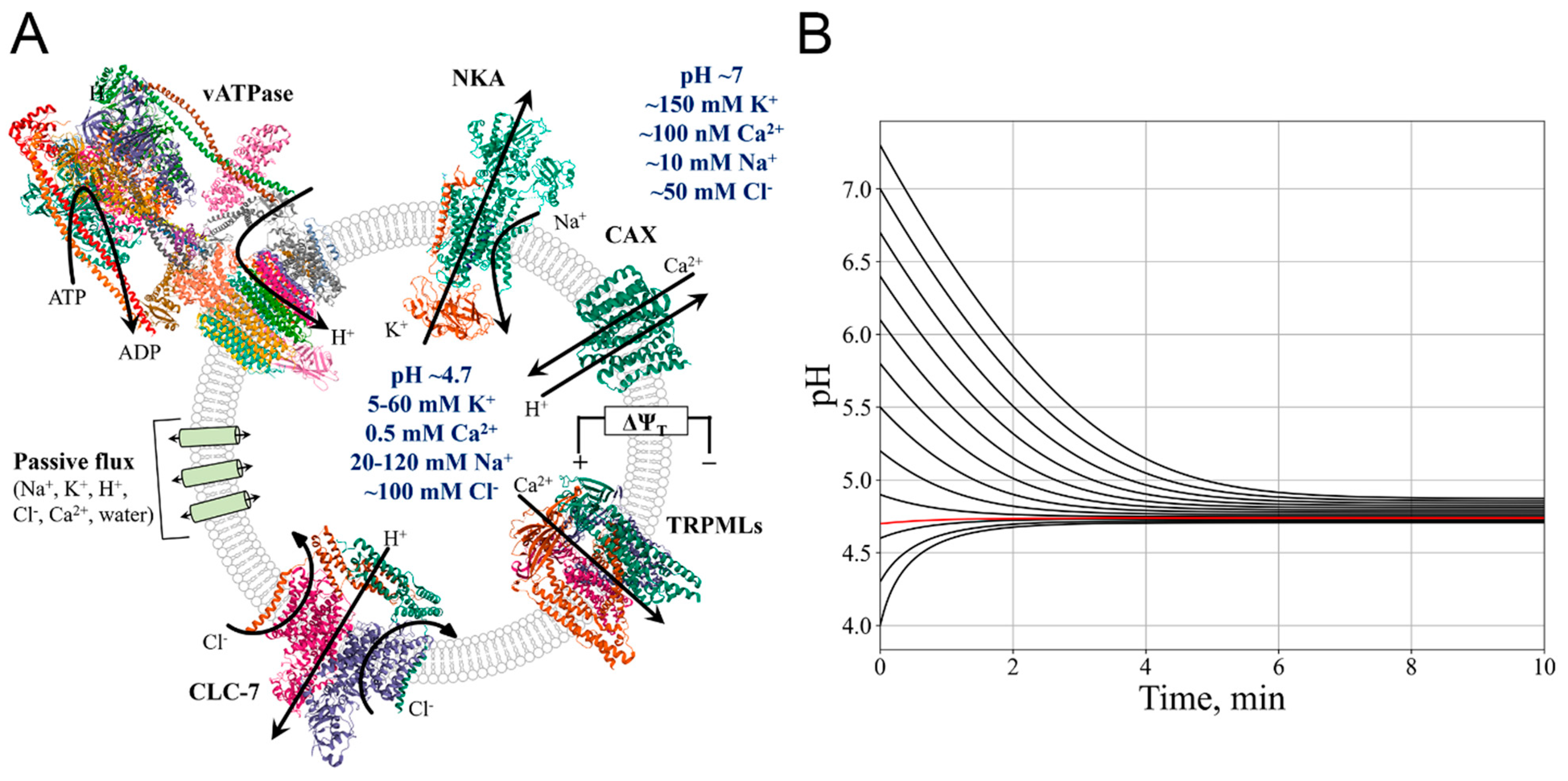 Preprints 142317 g001