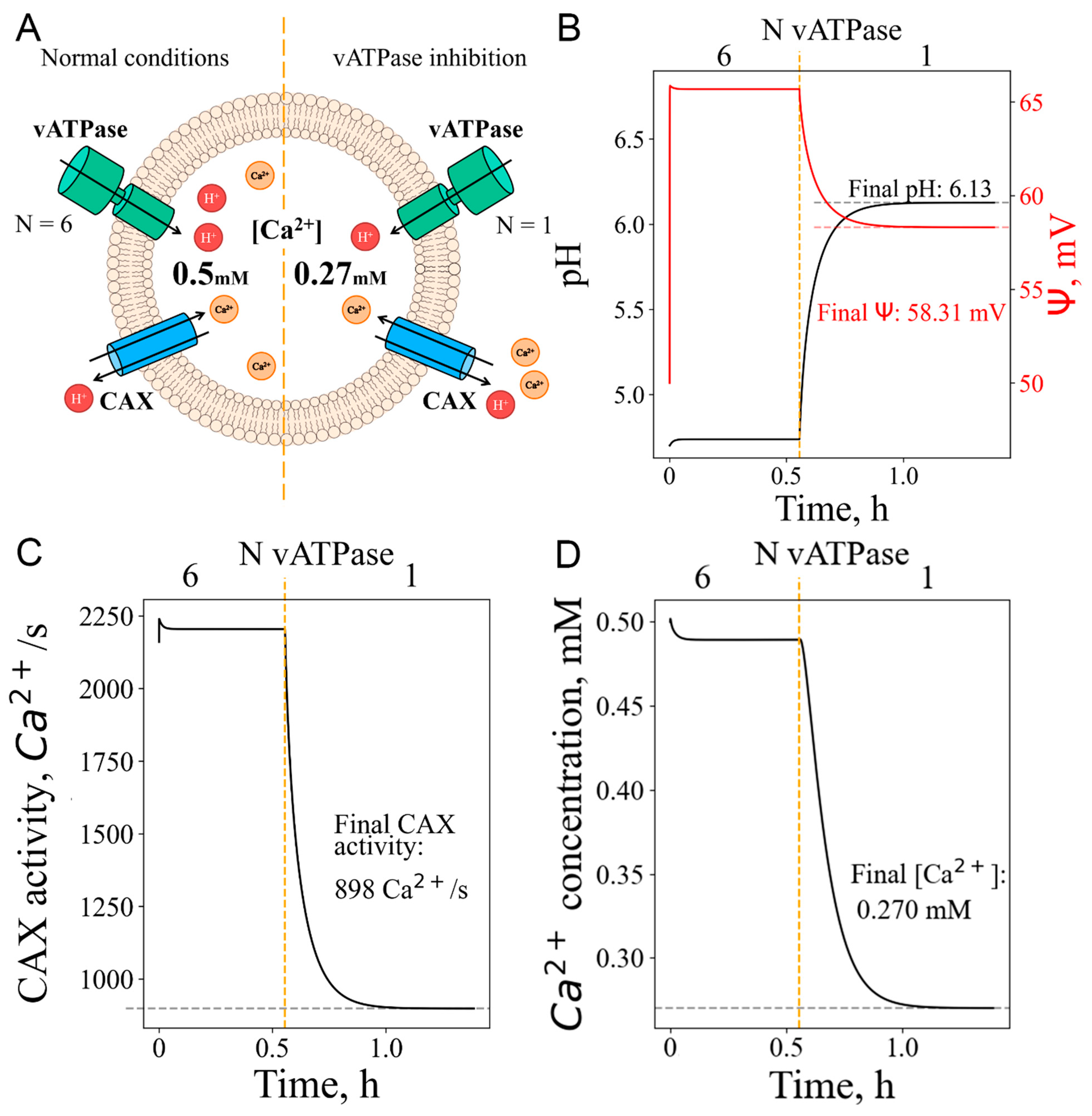 Preprints 142317 g005