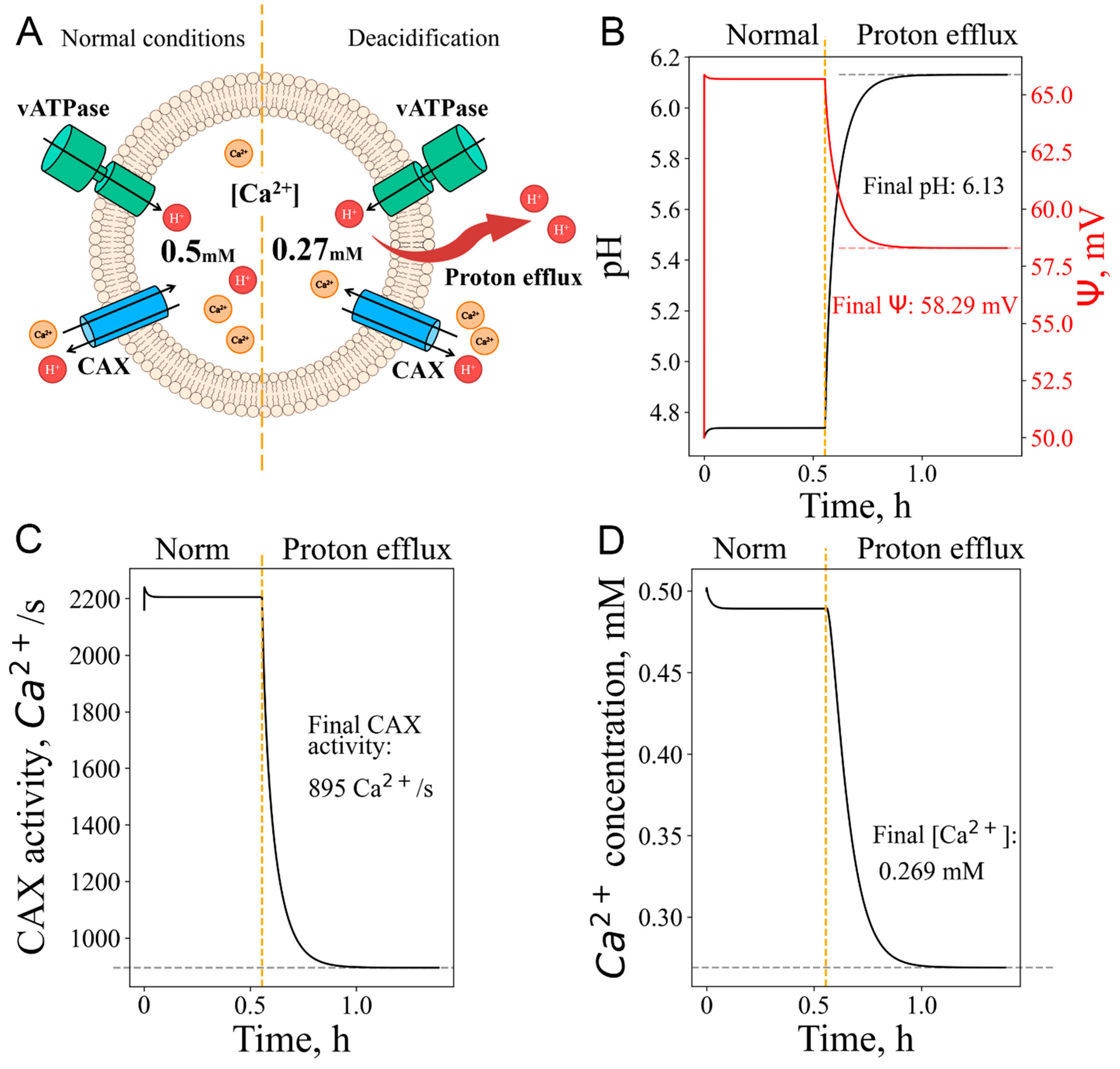 Preprints 142317 g006