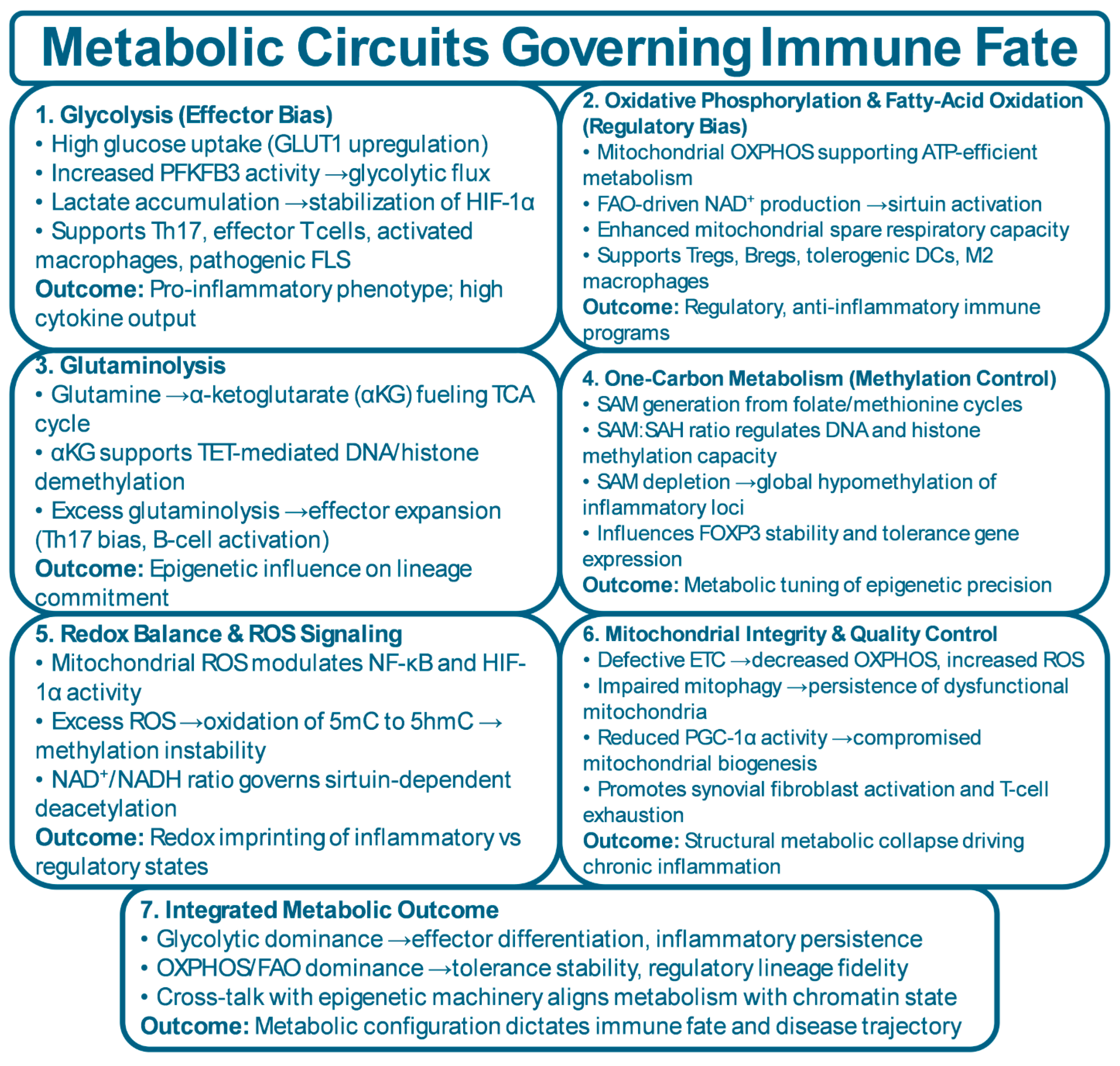 Preprints 192015 g004