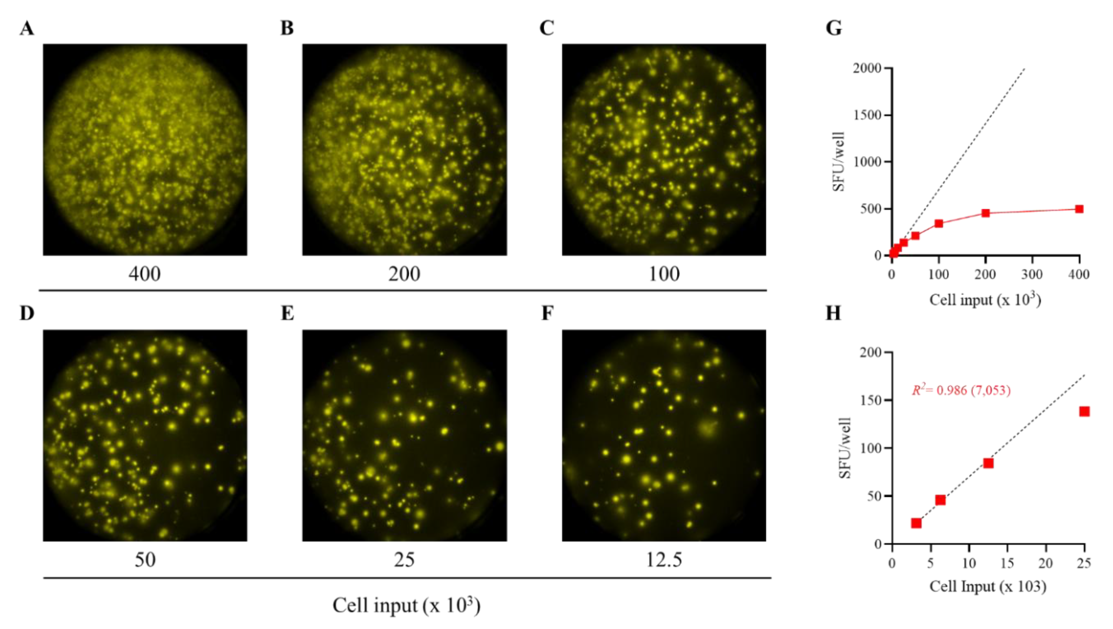 Preprints 164272 g002