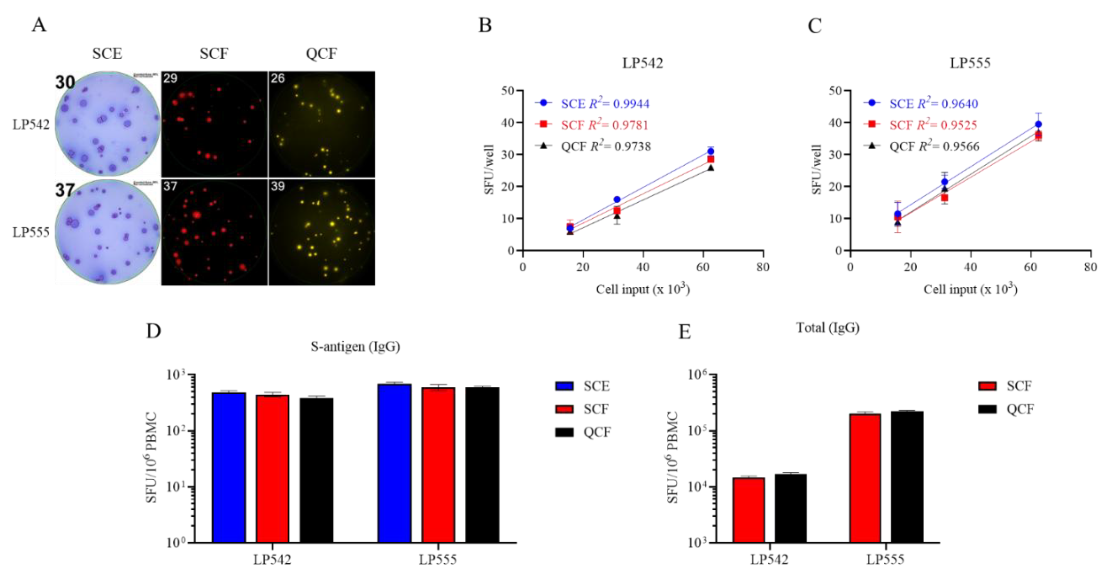 Preprints 164272 g004