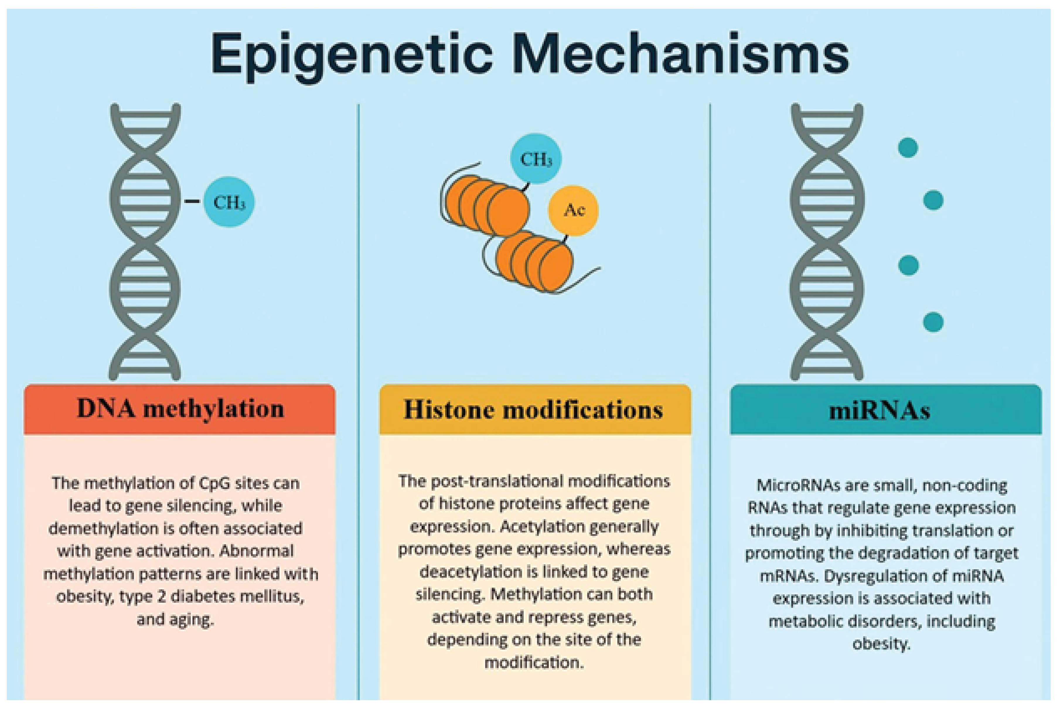 Preprints 169063 g002