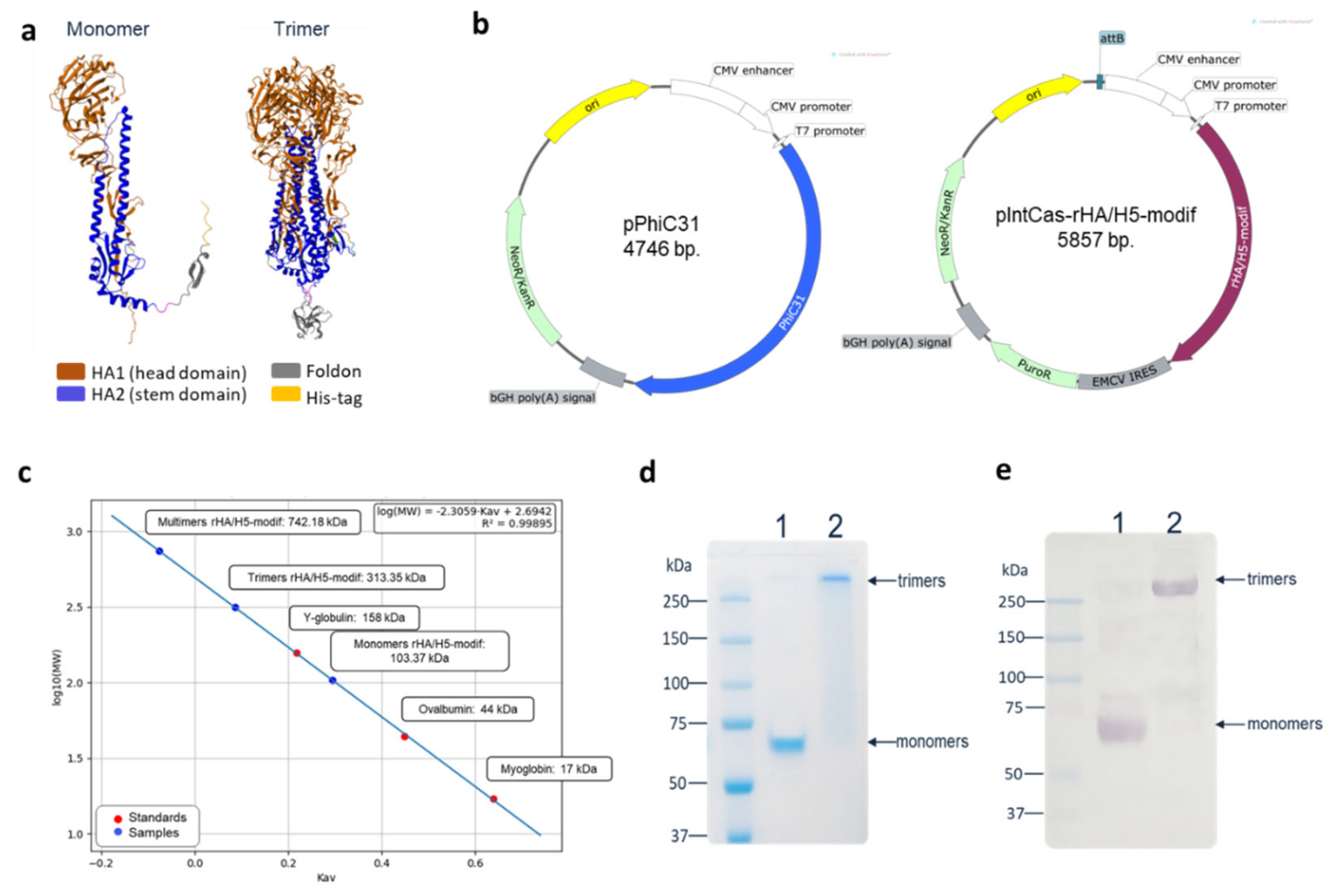 Preprints 207544 g001