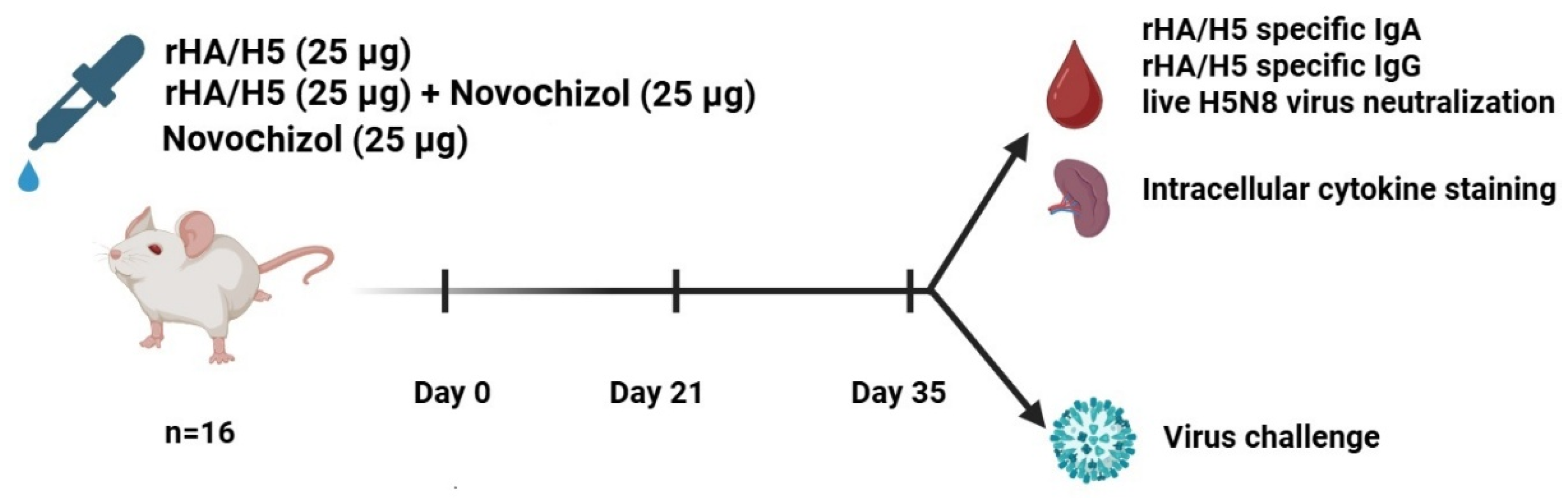 Preprints 207544 g003