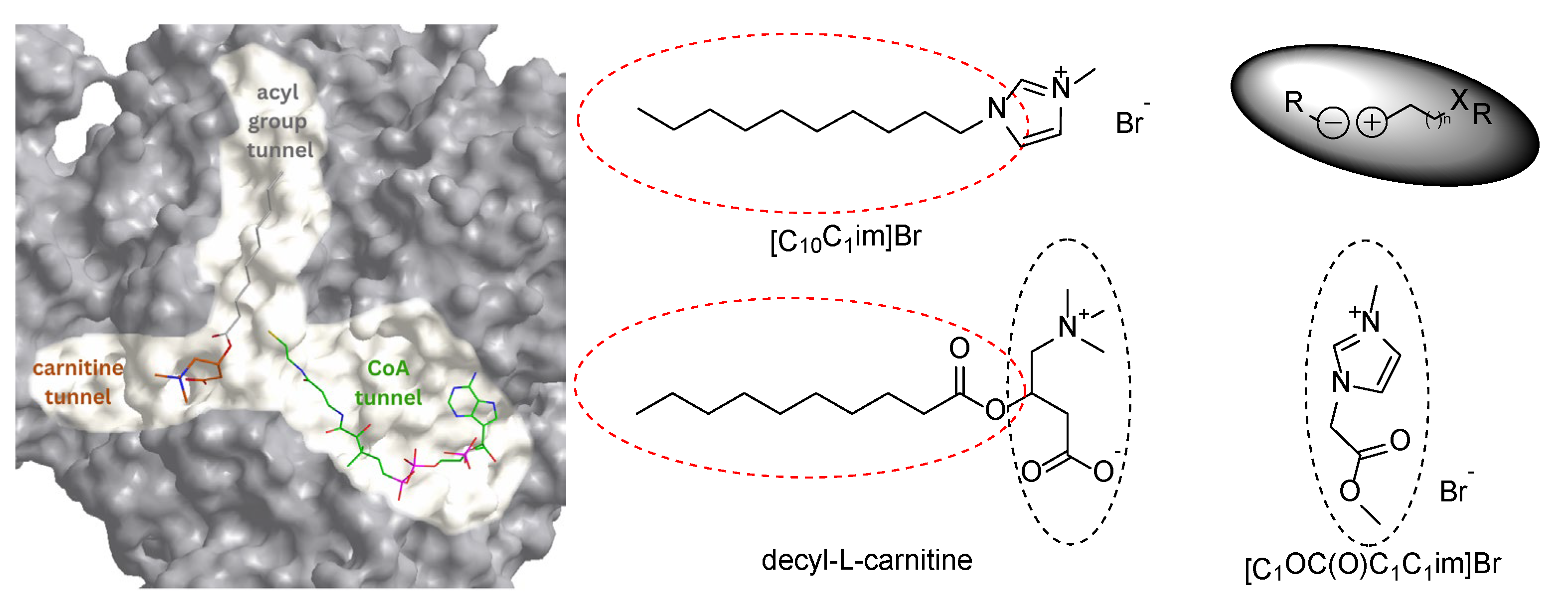 Preprints 171098 g001