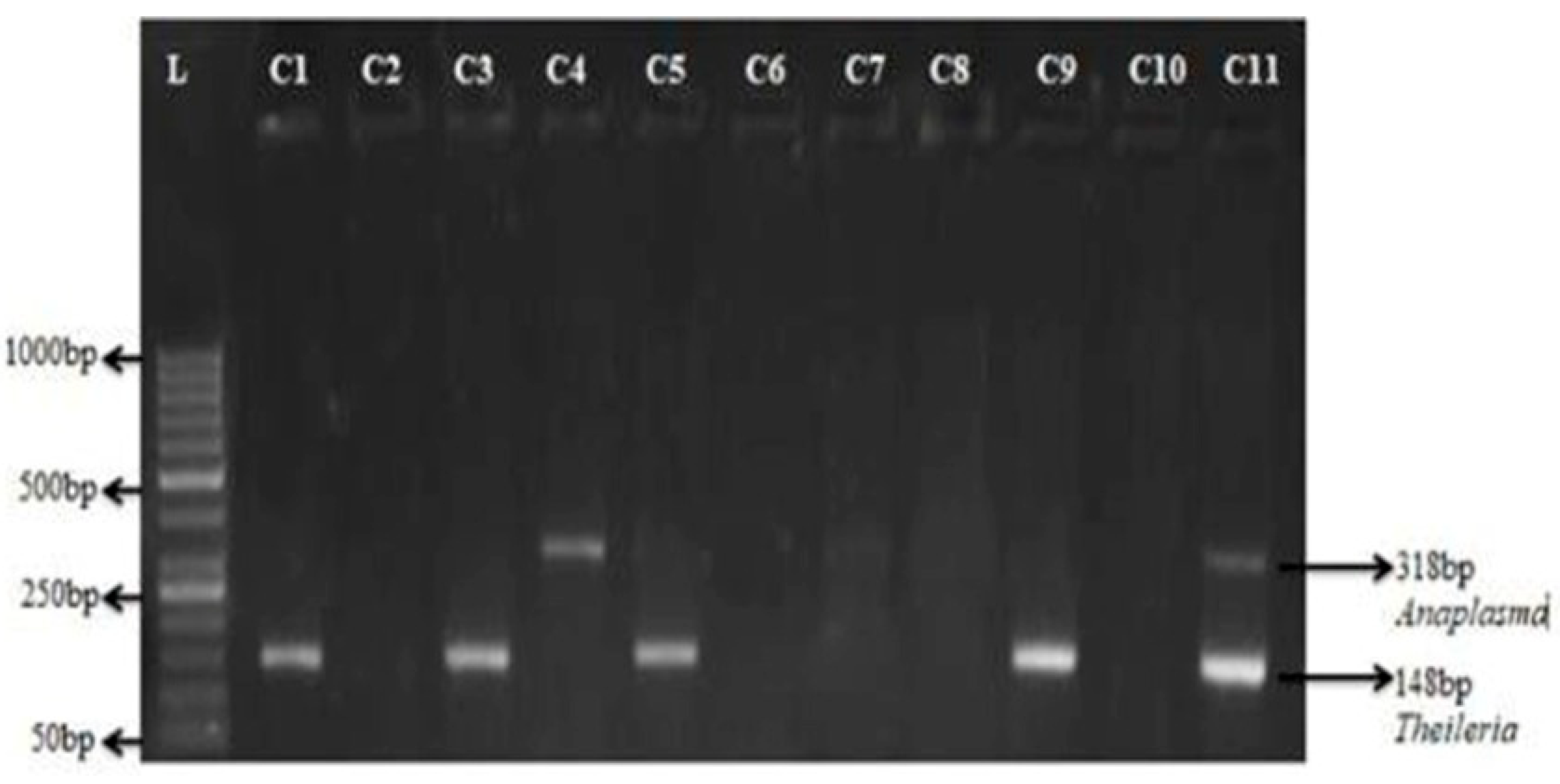 Preprints 162599 g004