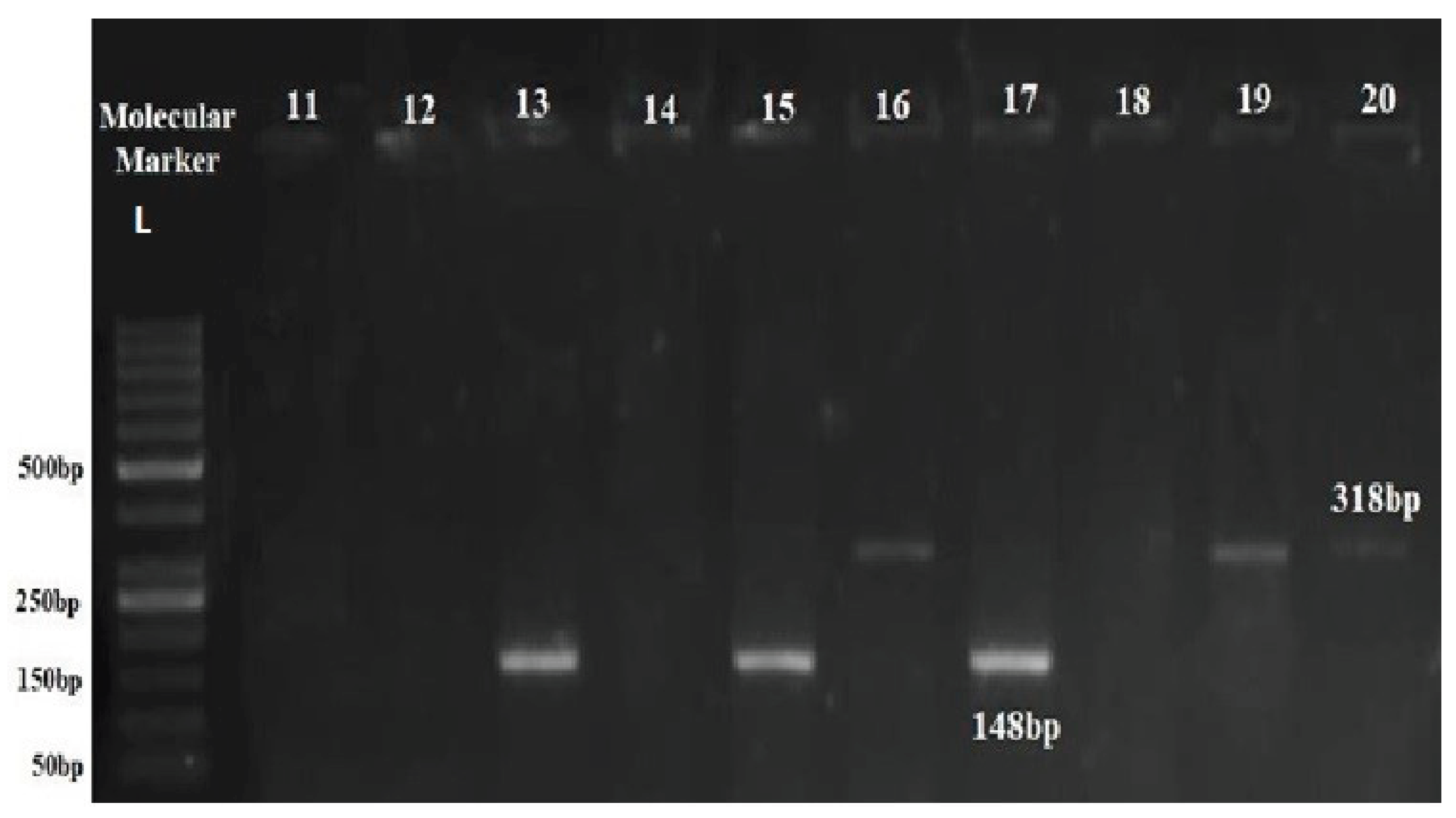 Preprints 162599 g007