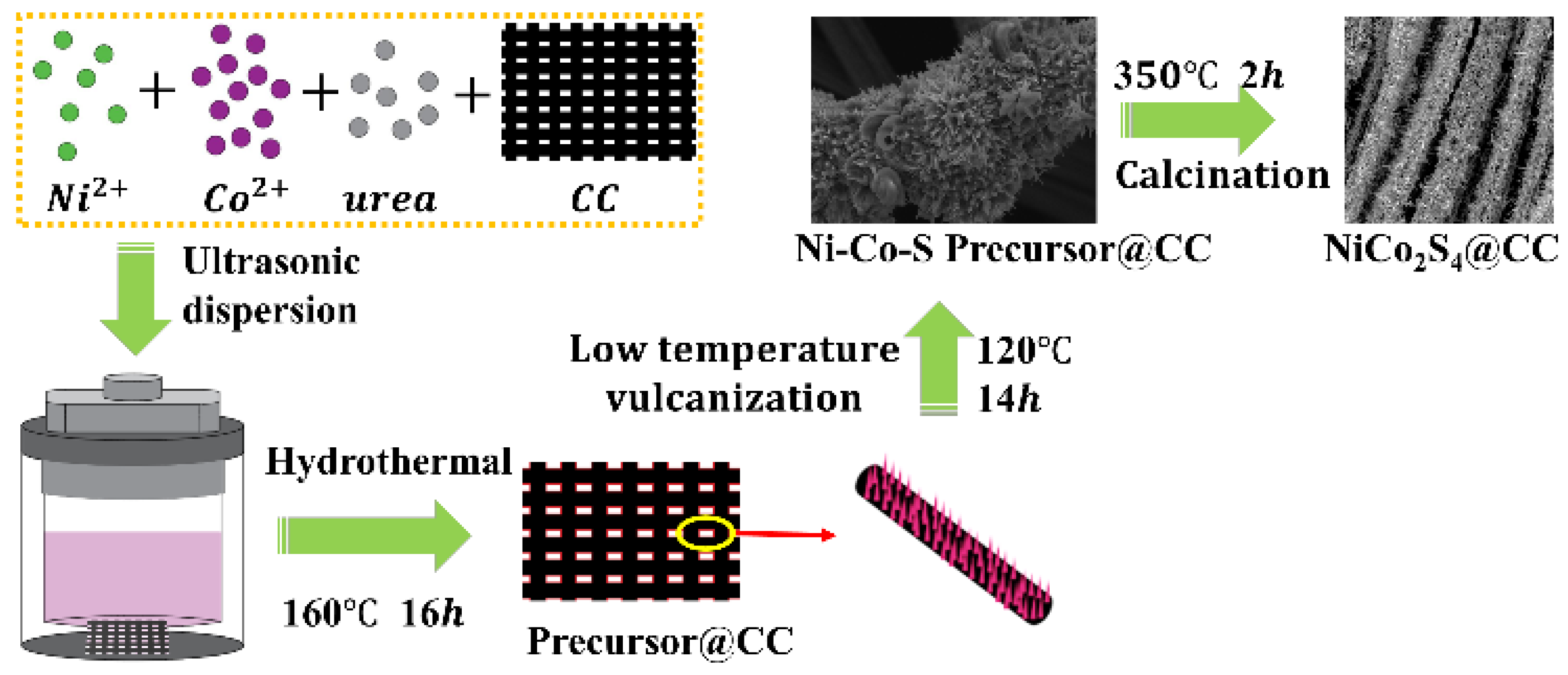 Preprints 199074 g001