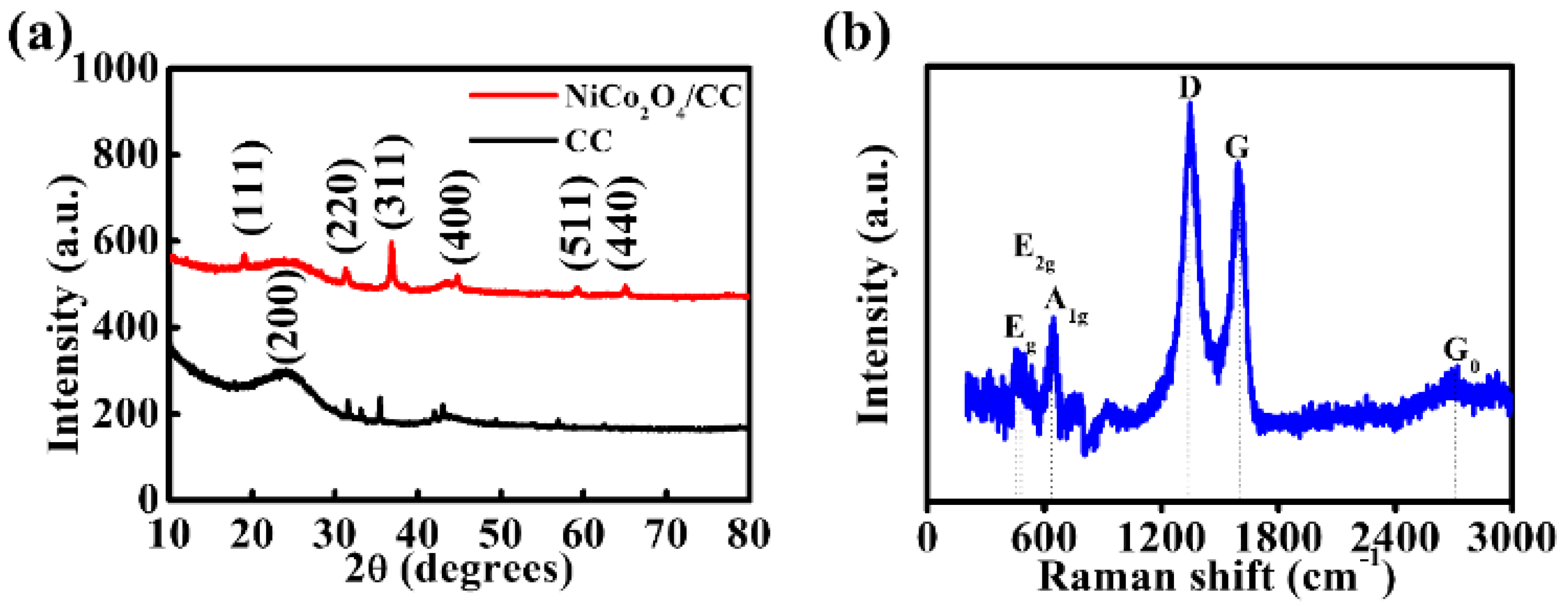 Preprints 199074 g002