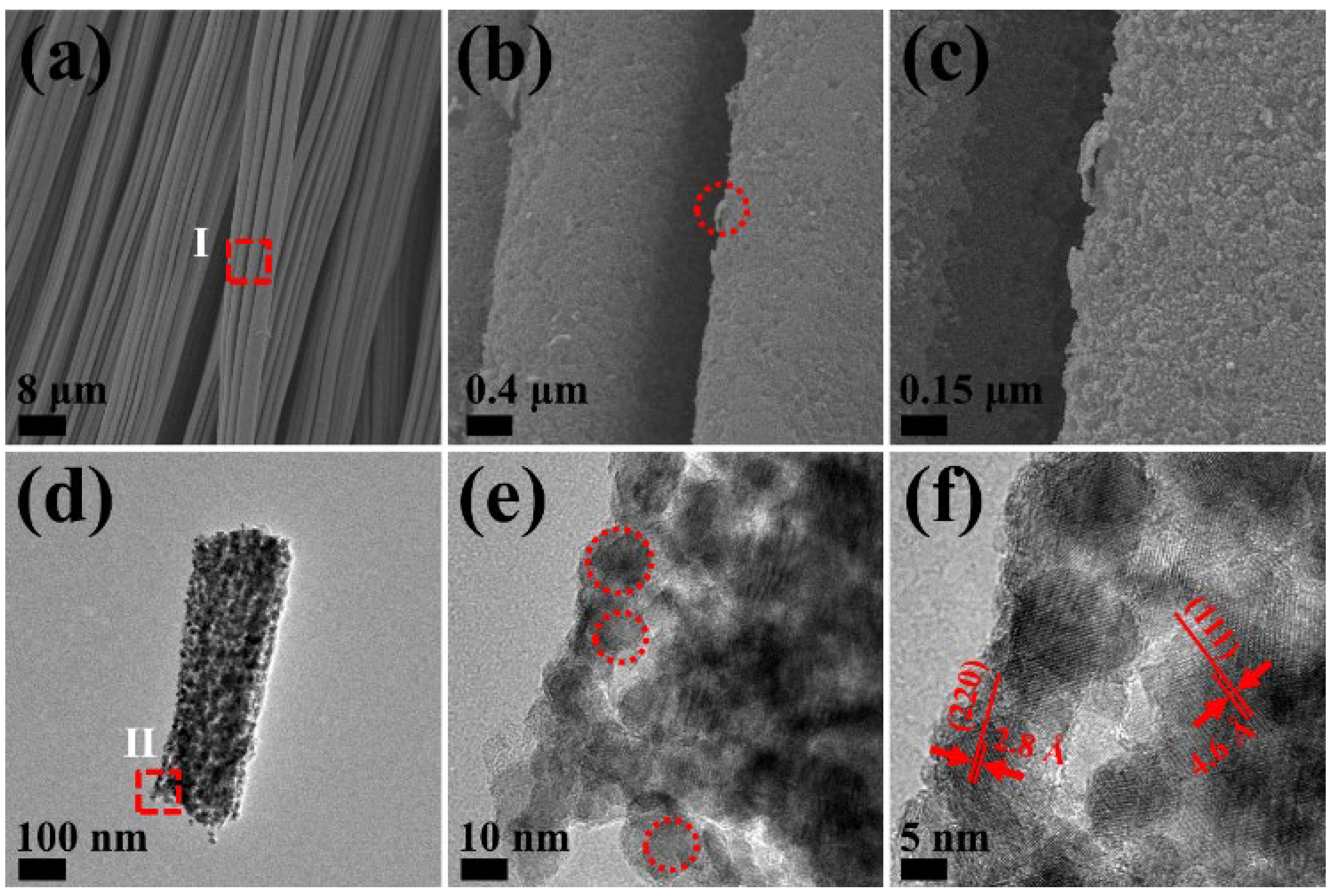 Preprints 199074 g003