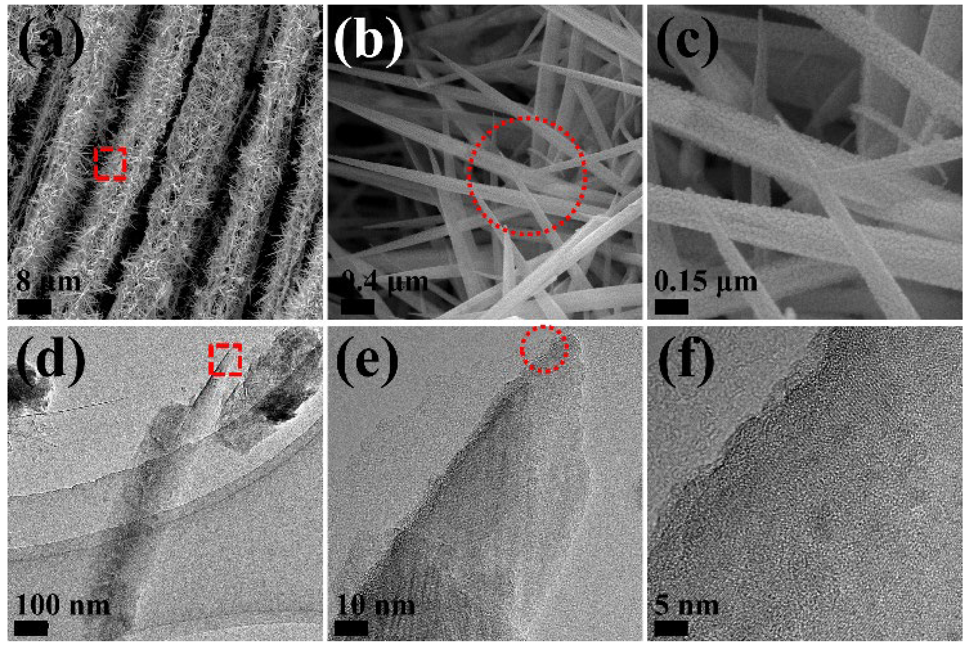 Preprints 199074 g007