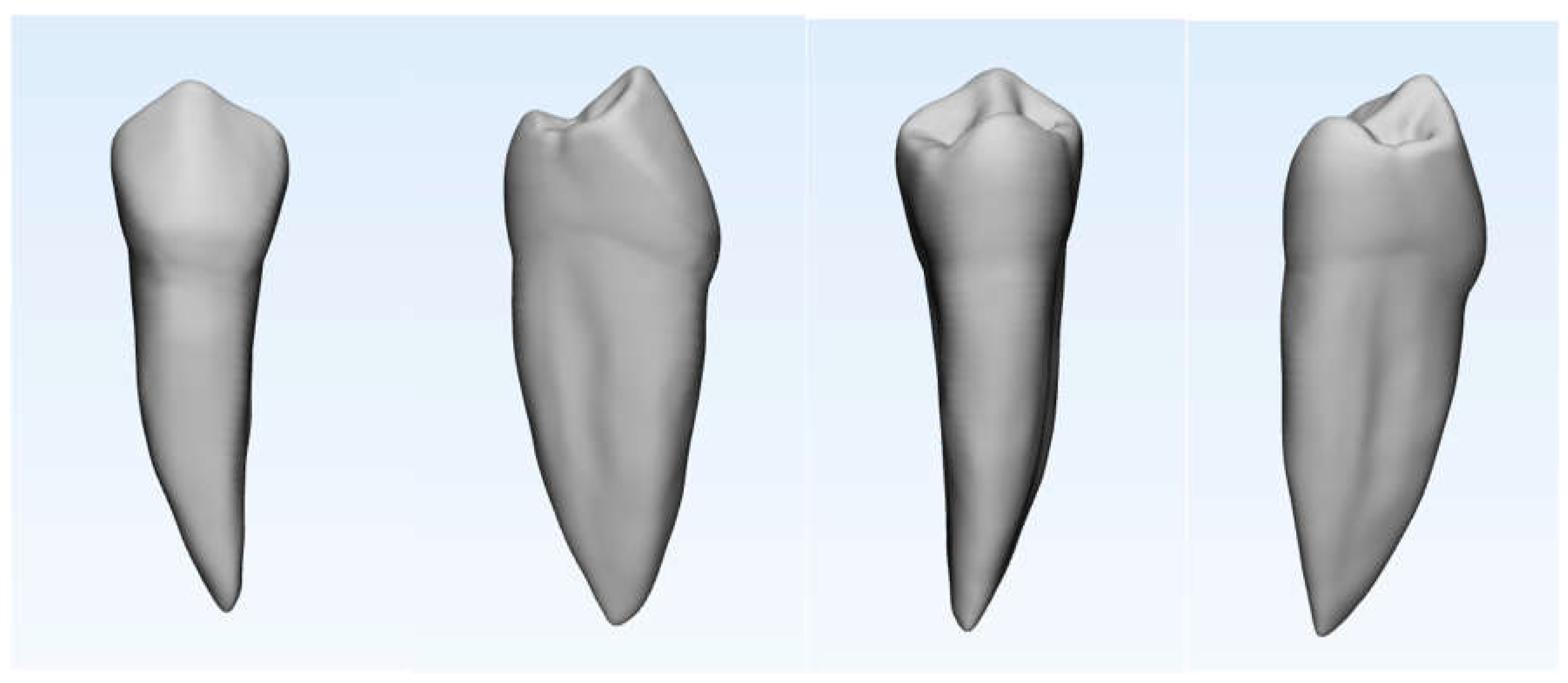 Preprints 156137 g001