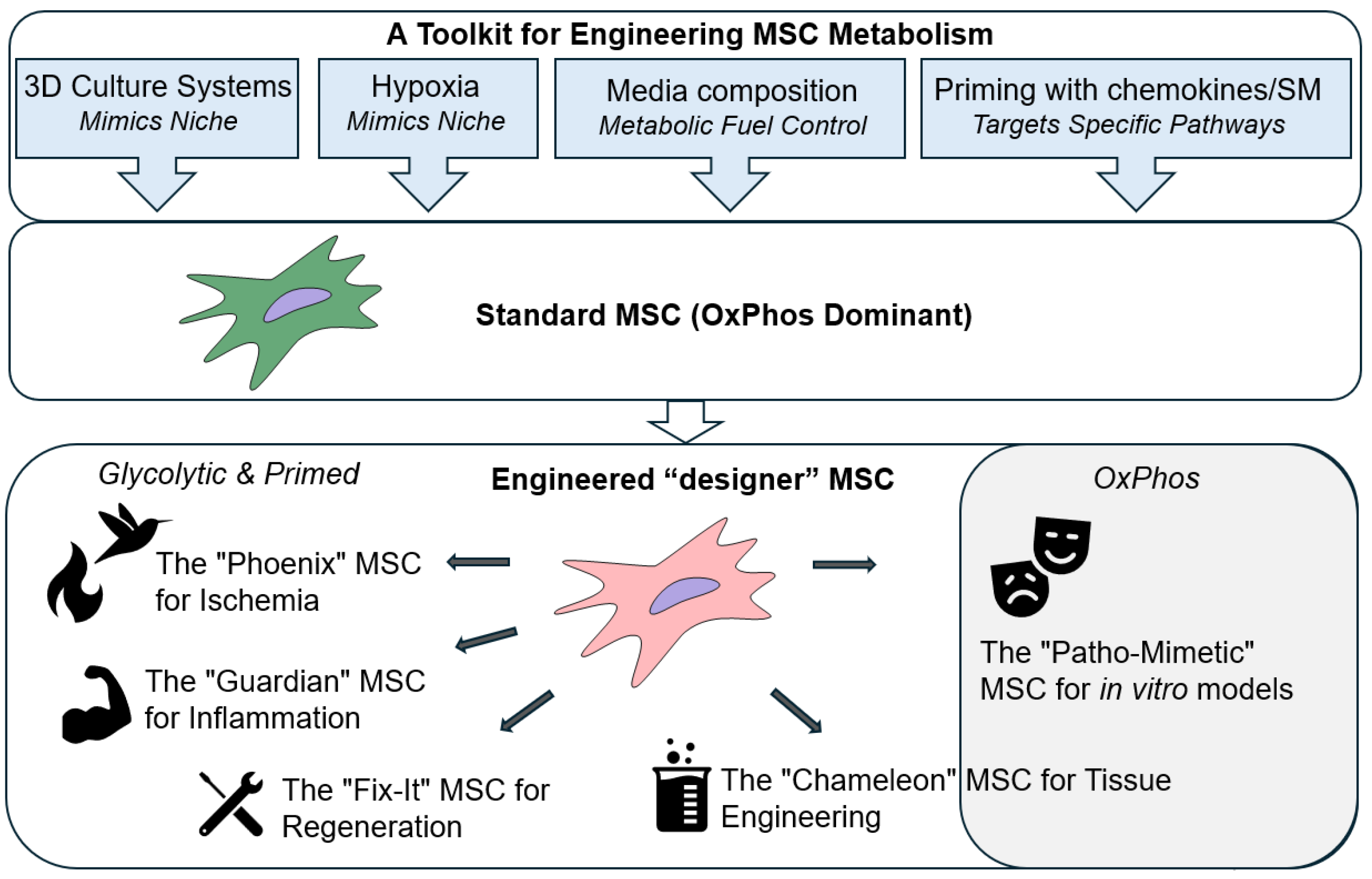 Preprints 174537 g002