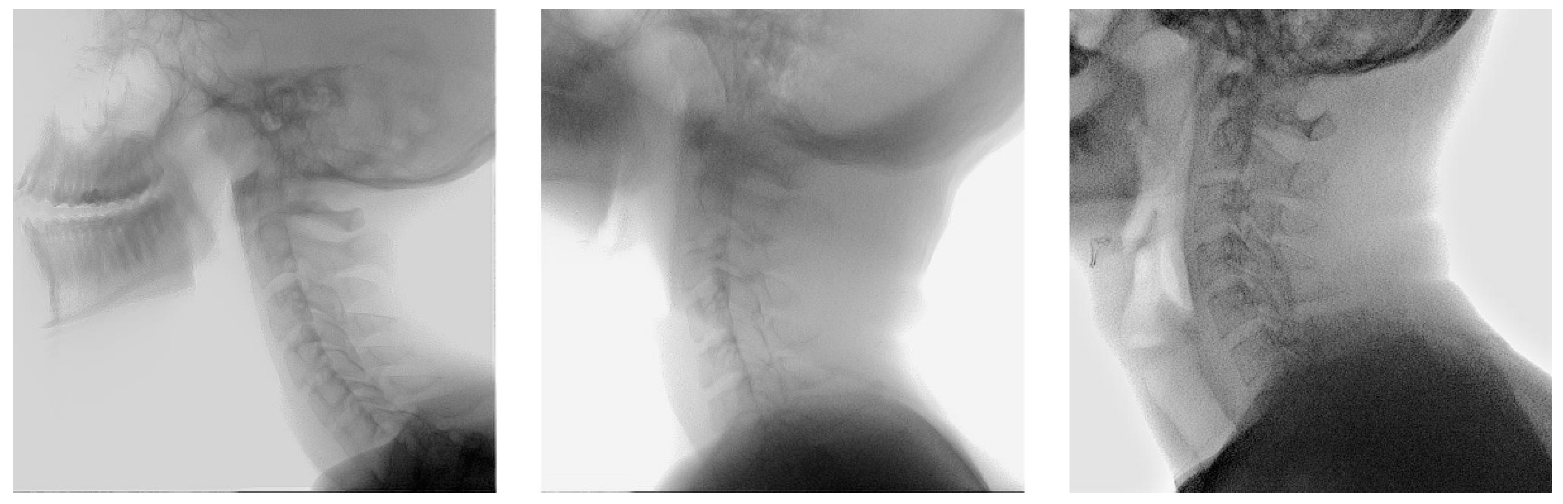 Preprints 159197 g0a8