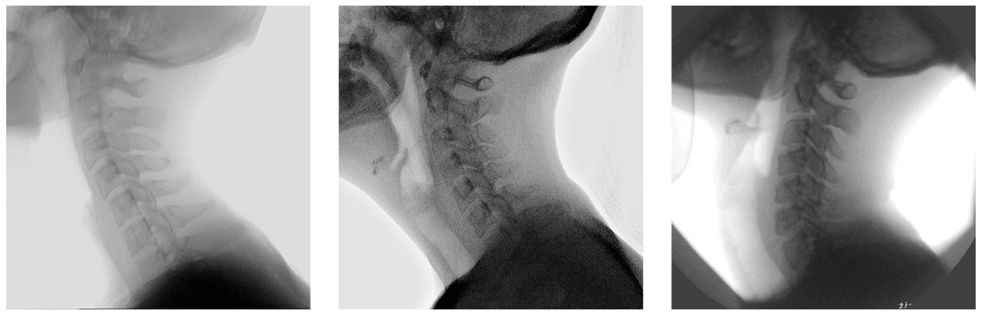 Preprints 159197 g0a9