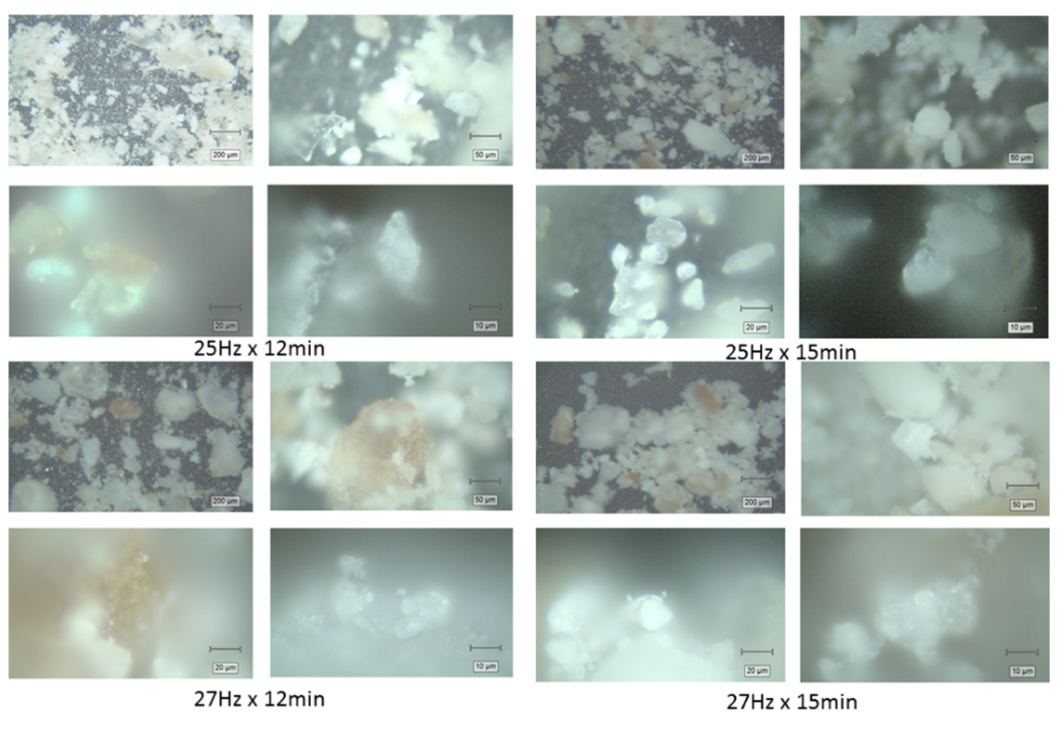 Preprints 178070 g002