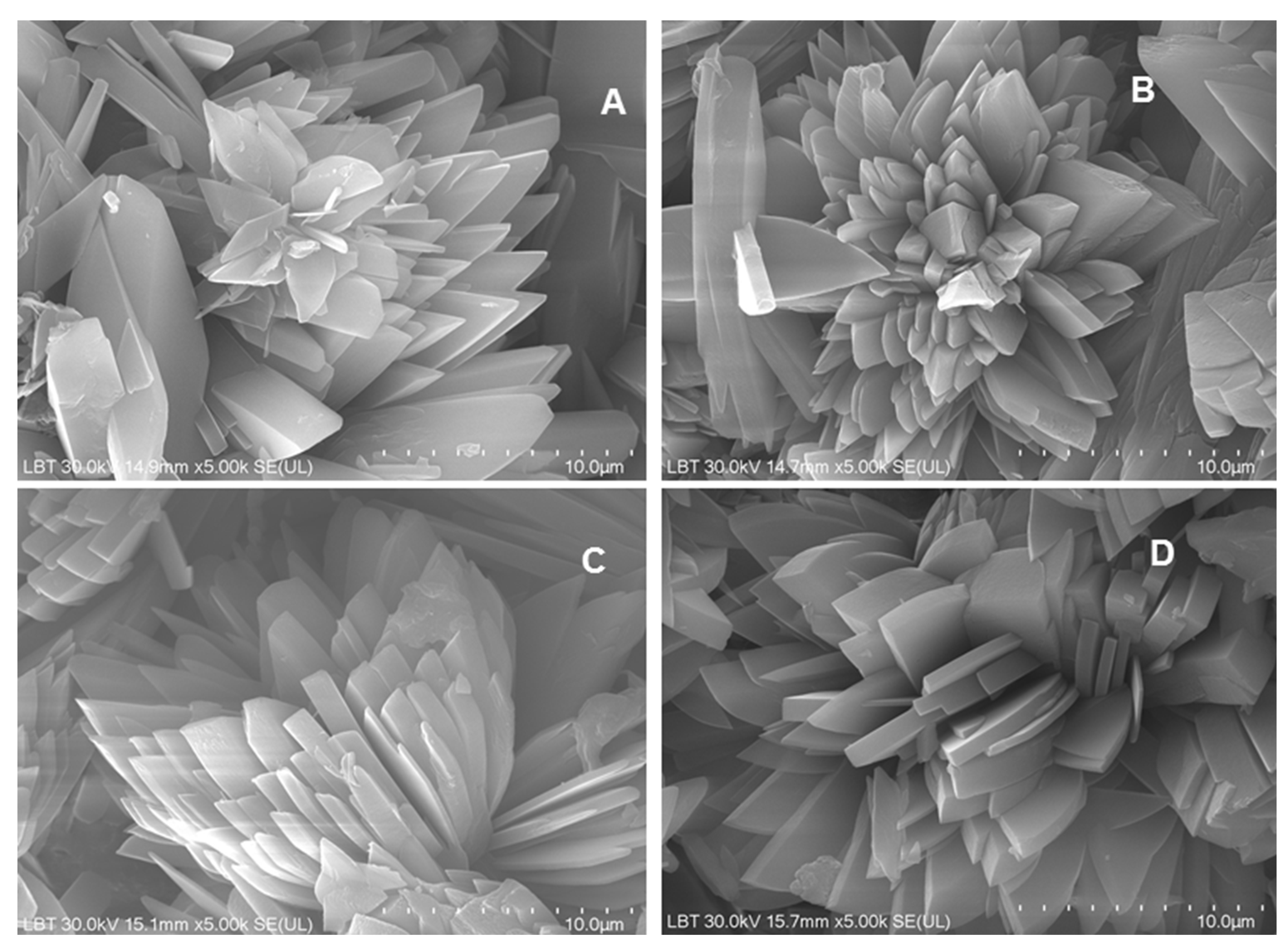 Preprints 178070 g009