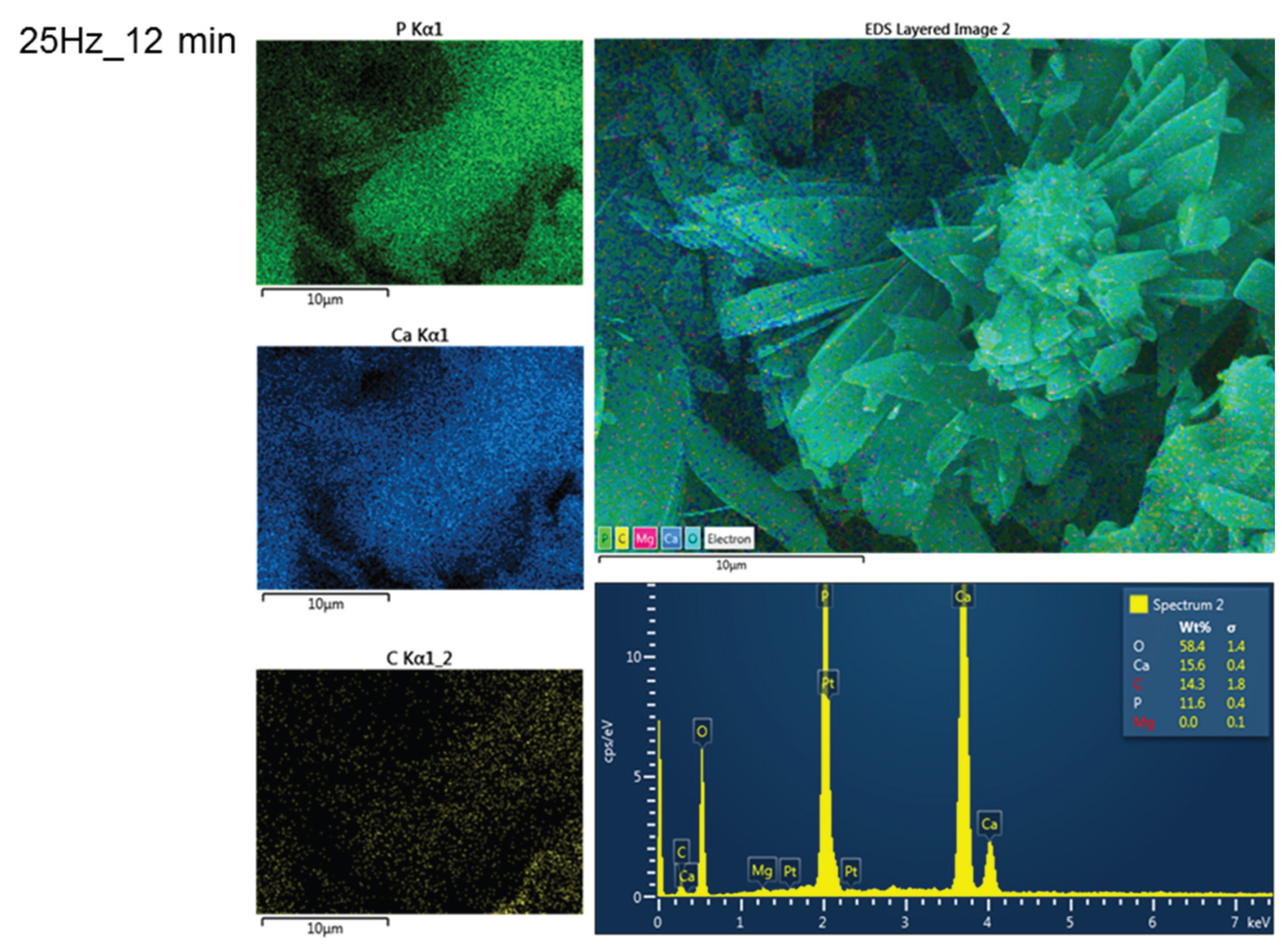 Preprints 178070 g010