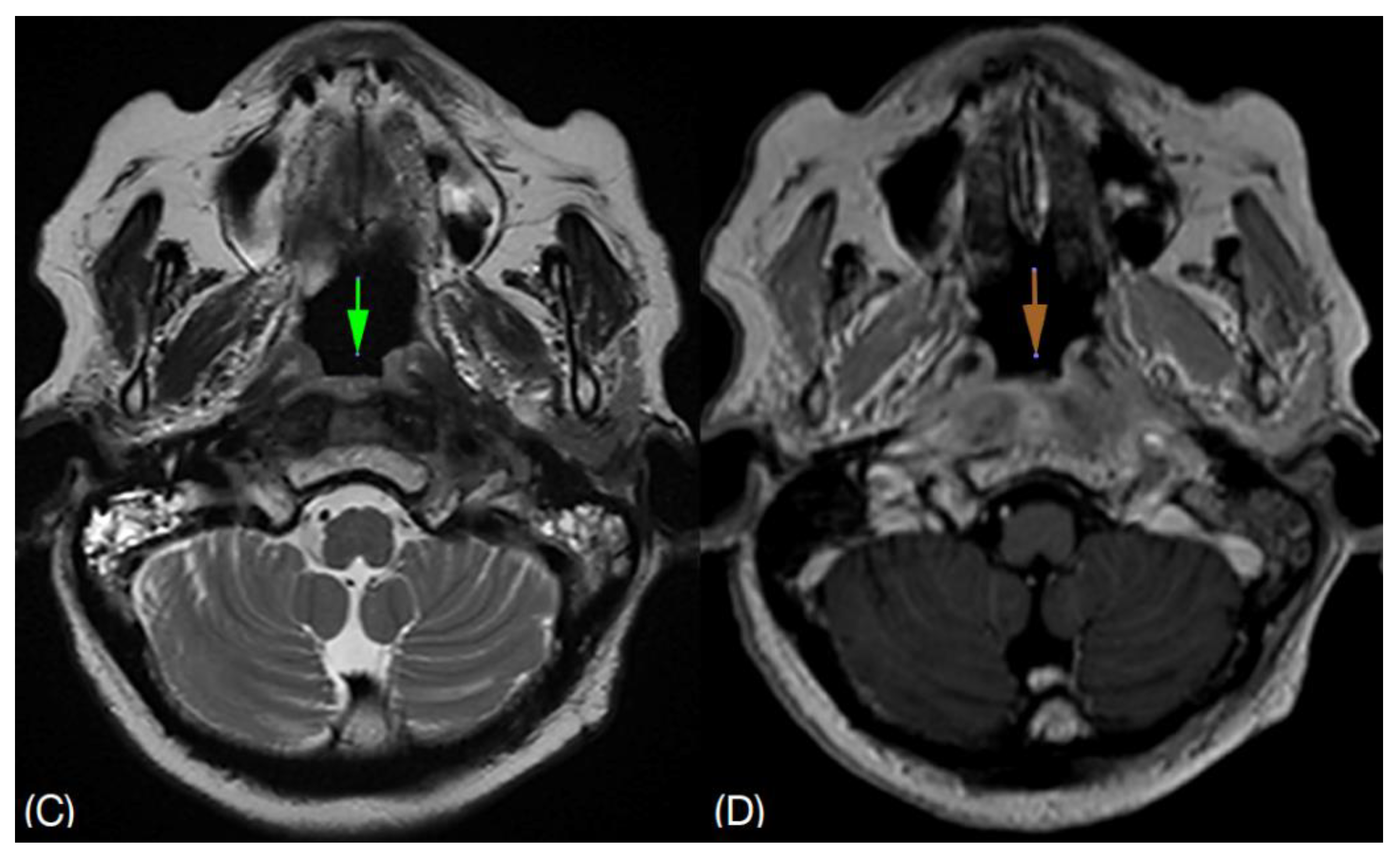 Preprints 158468 g002
