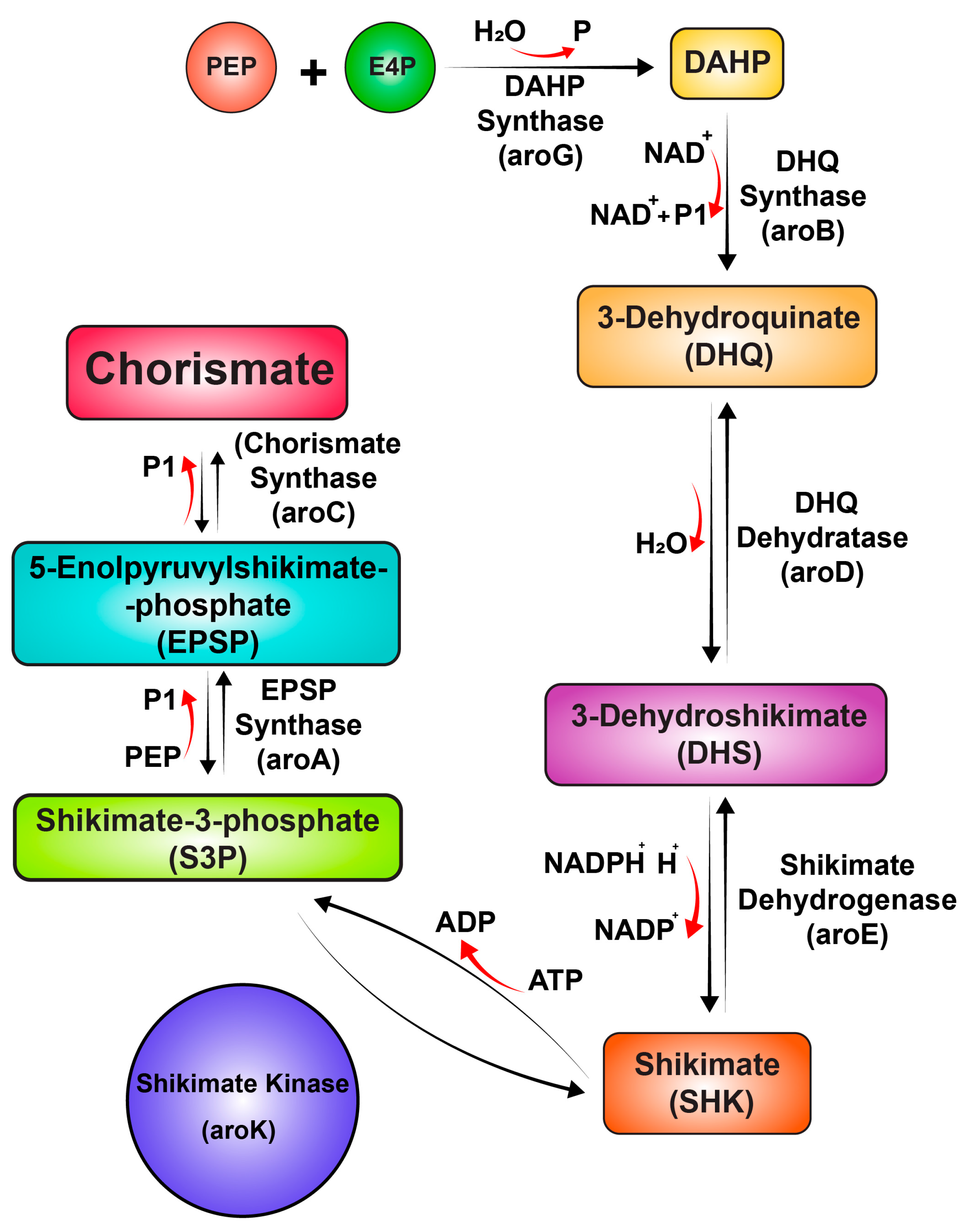 Preprints 144008 g001