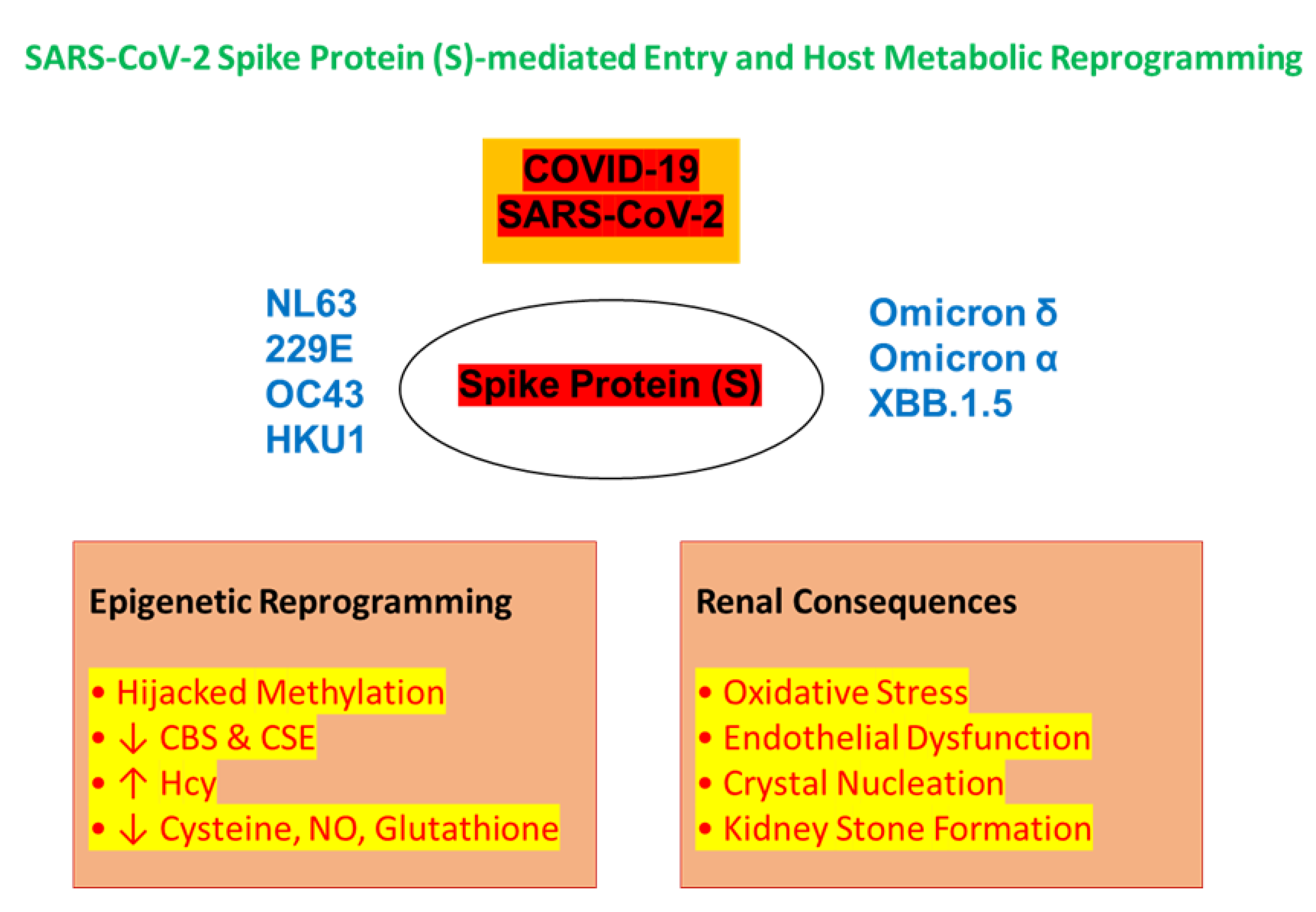 Preprints 169877 g001