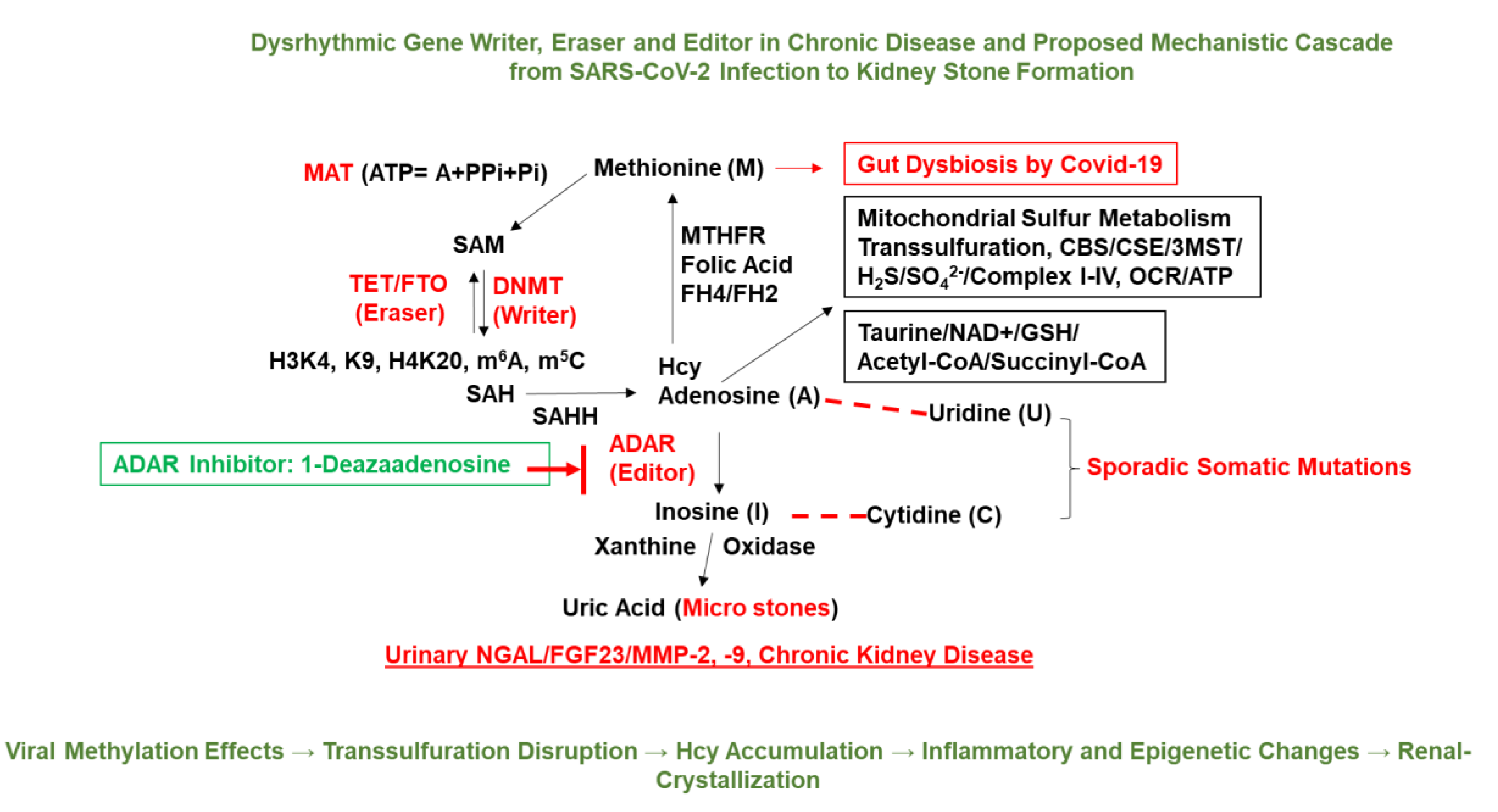 Preprints 169877 g002