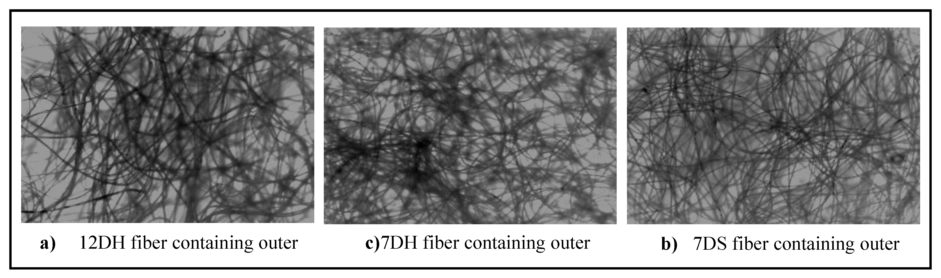 Preprints 102931 g006