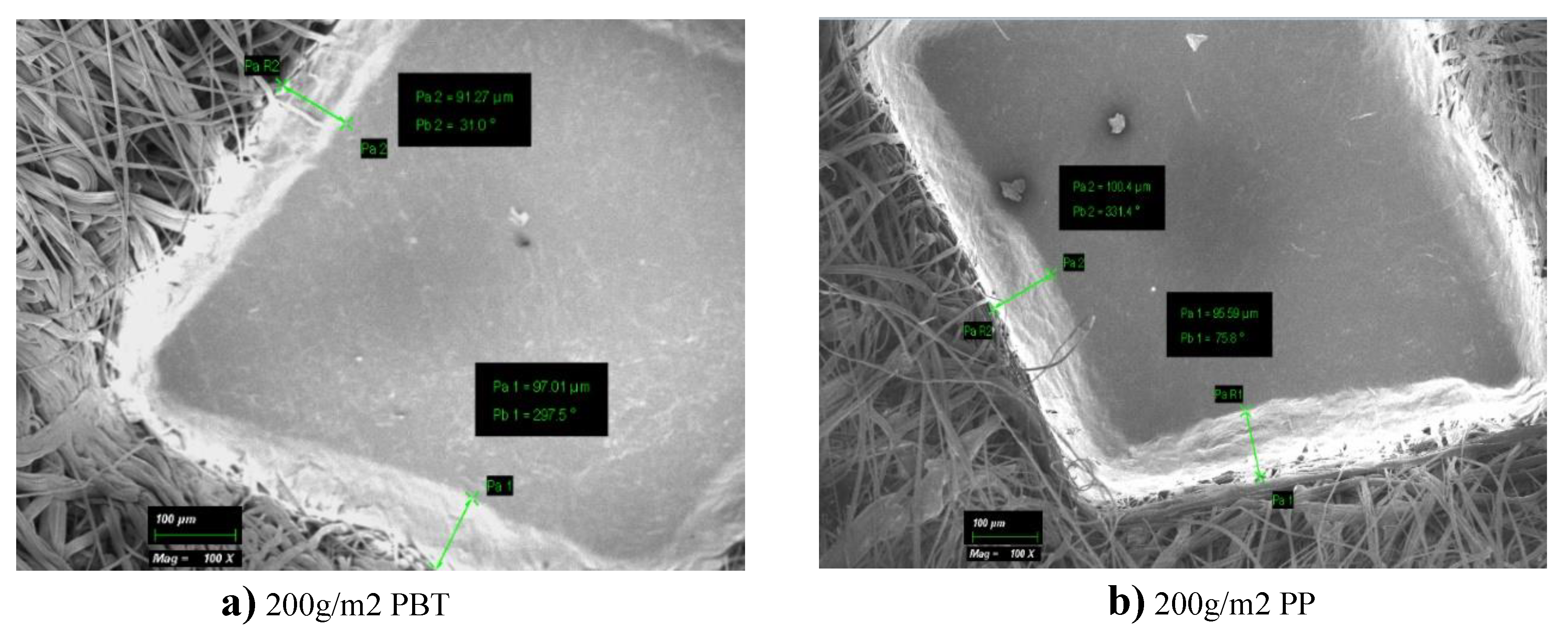 Preprints 102931 g016