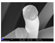 Preprints 102931 i001