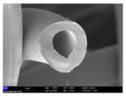 Preprints 102931 i002